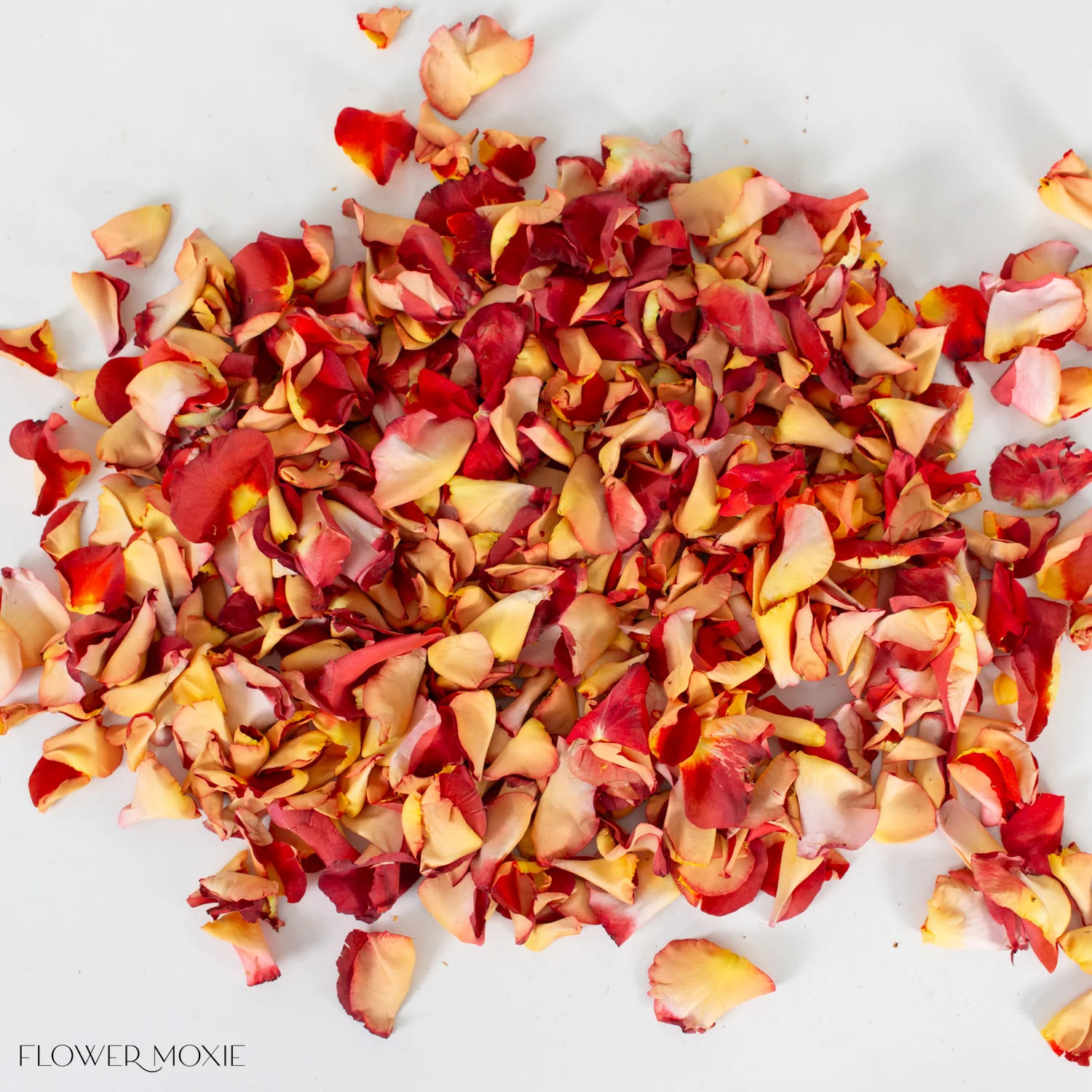 Warm Ochre Rose Petals - Image 2