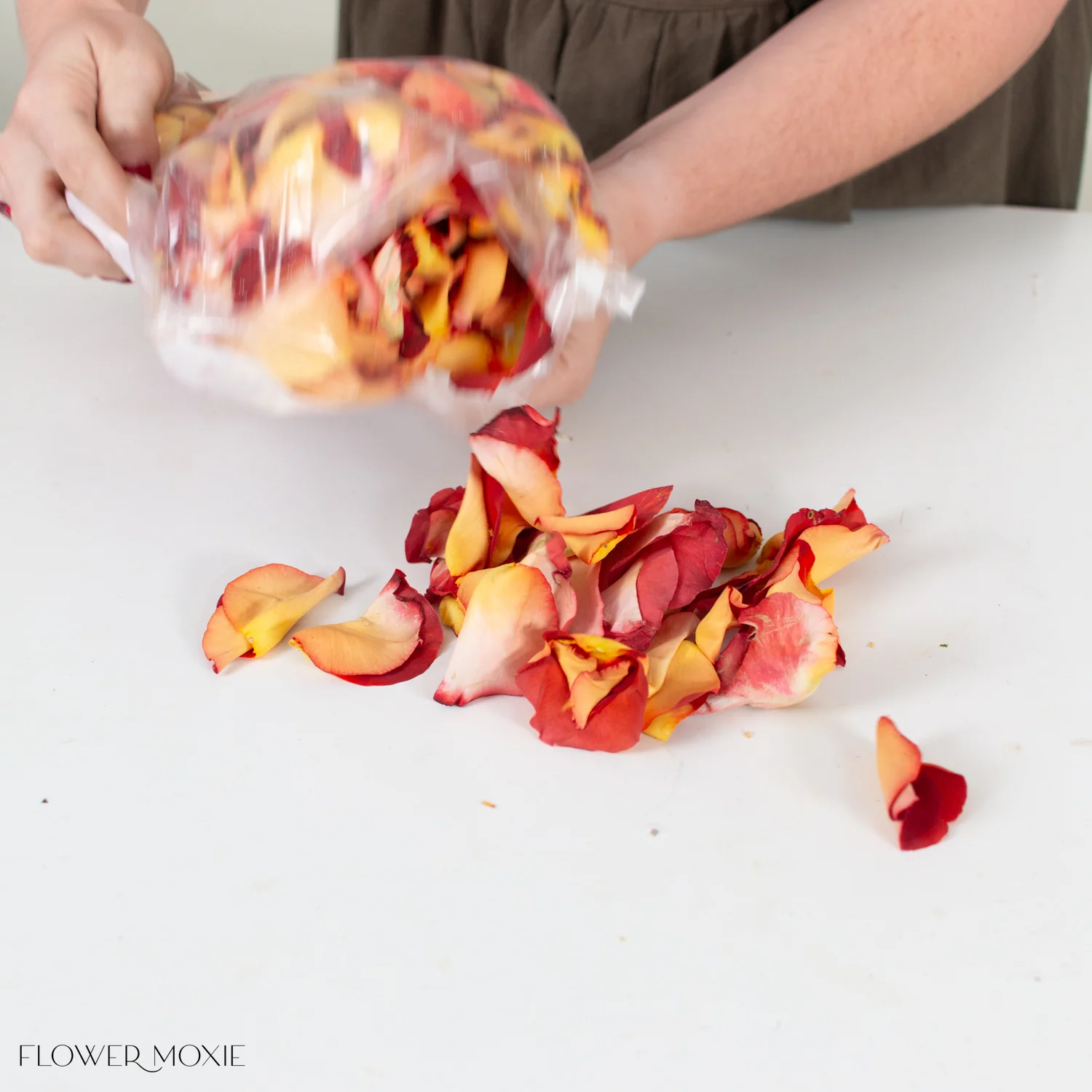 Warm Ochre Rose Petals - Image 3