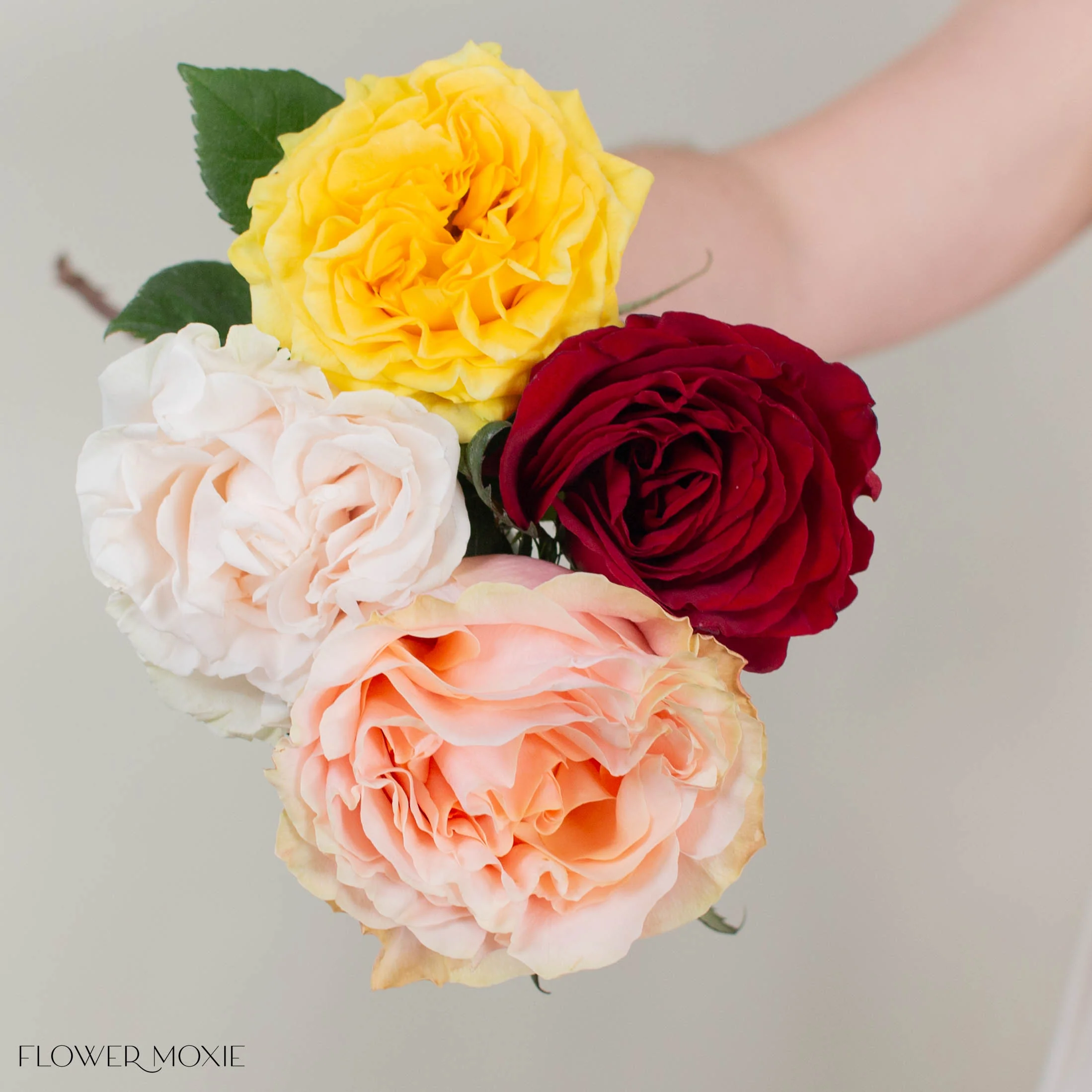 Golden Blush Rose Mix - Image 3