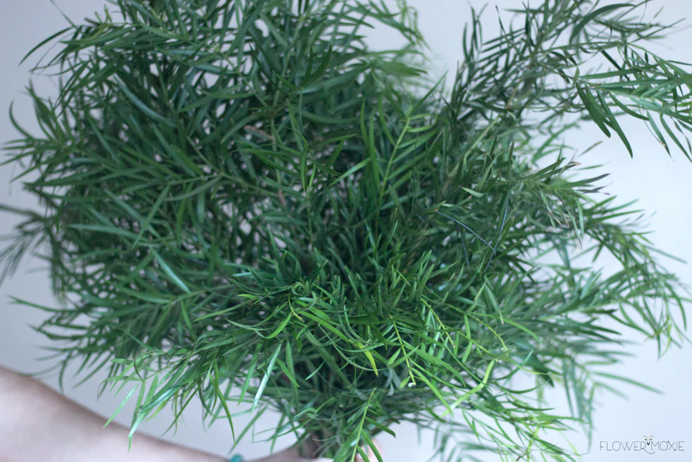 Weeping Podocarpus Greenery - Image 5