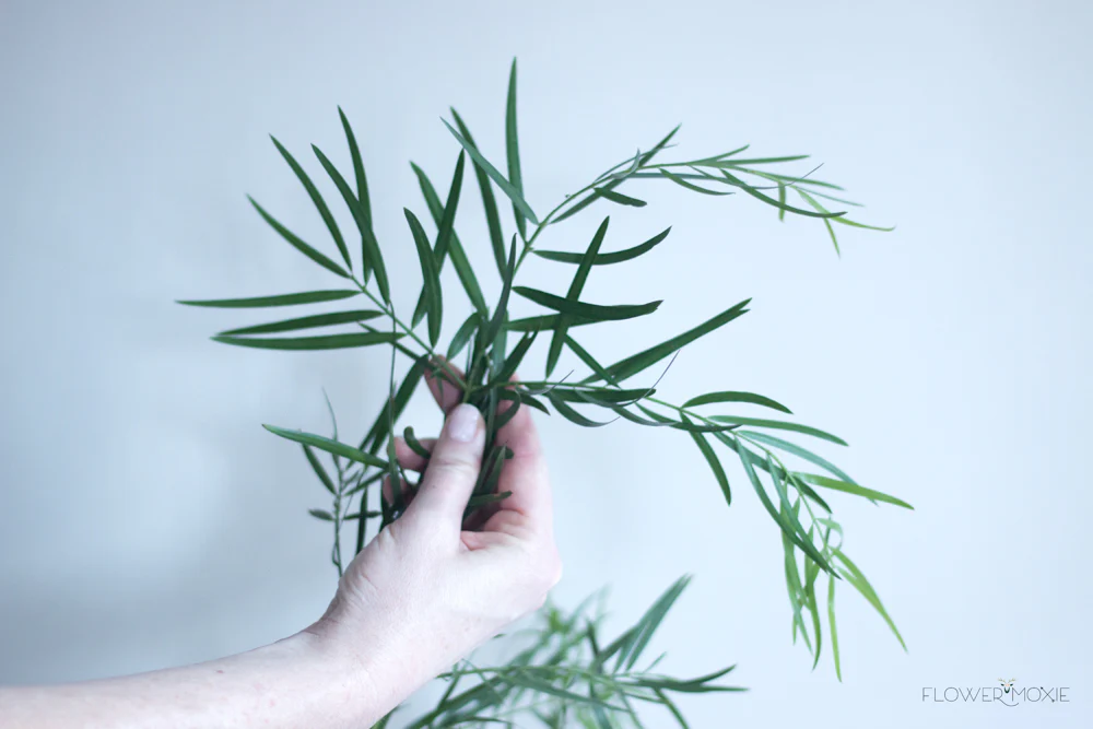 Weeping Podocarpus Greenery - Image 6