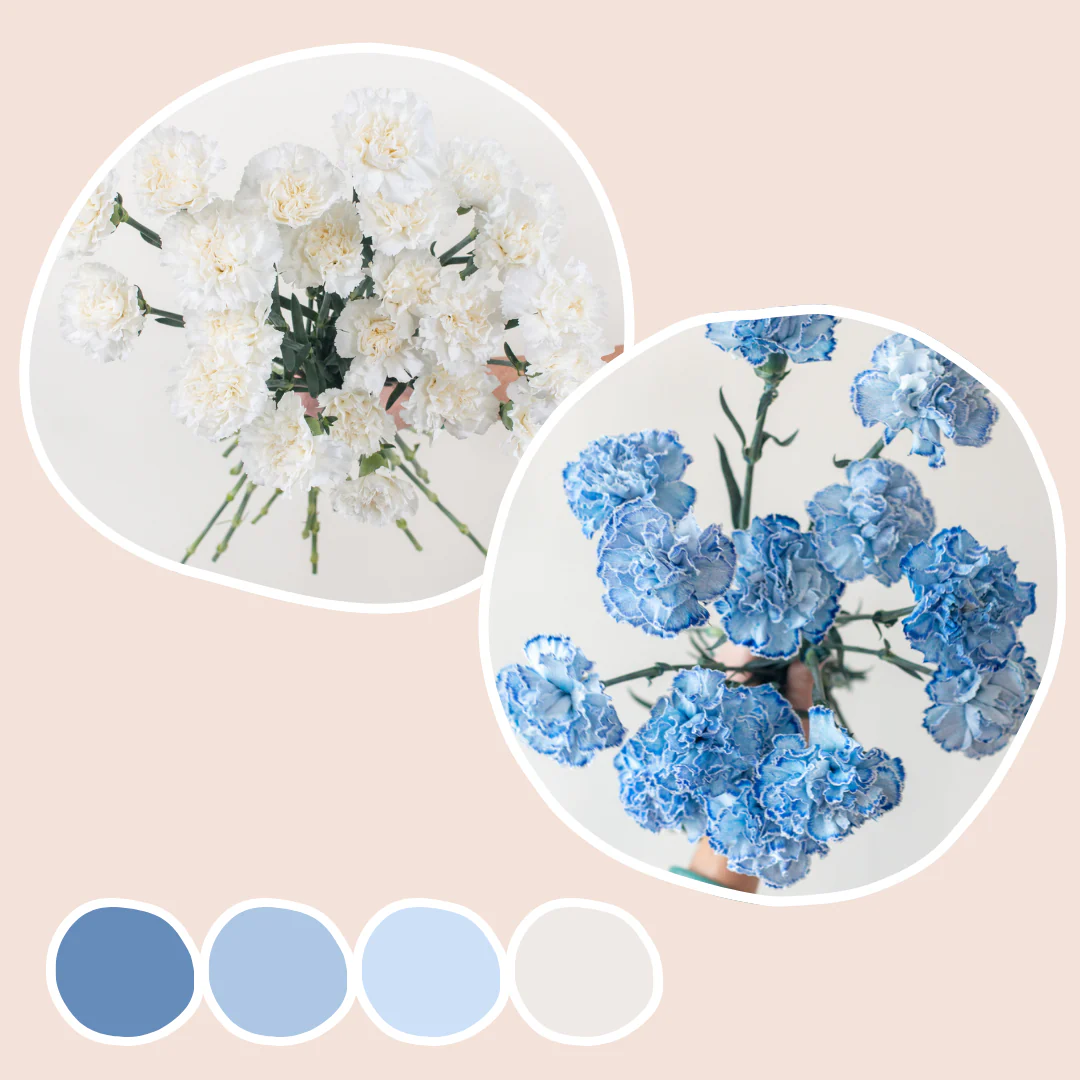 White and Blue Carnations Mixed Box