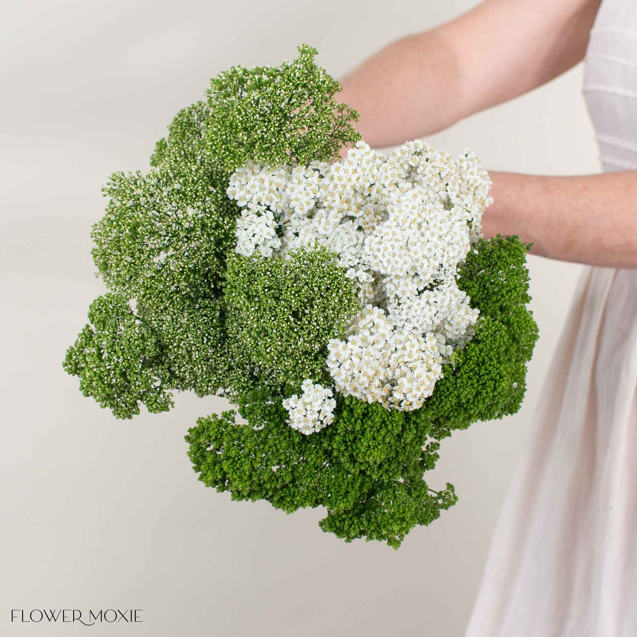 Filler Mixed Box – Fresh Garden - Image 2