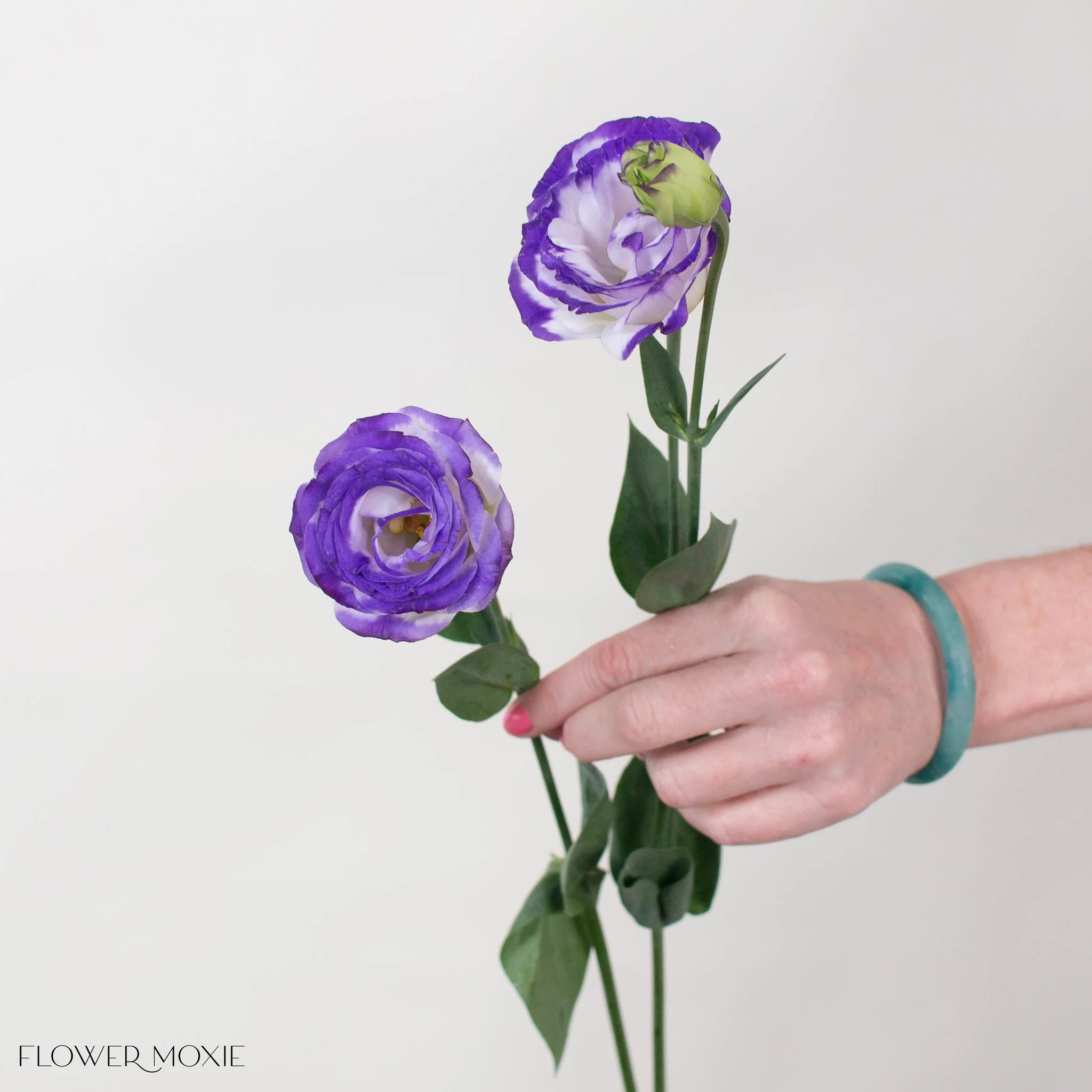 White and Purple Lisianthus Flower - Image 2