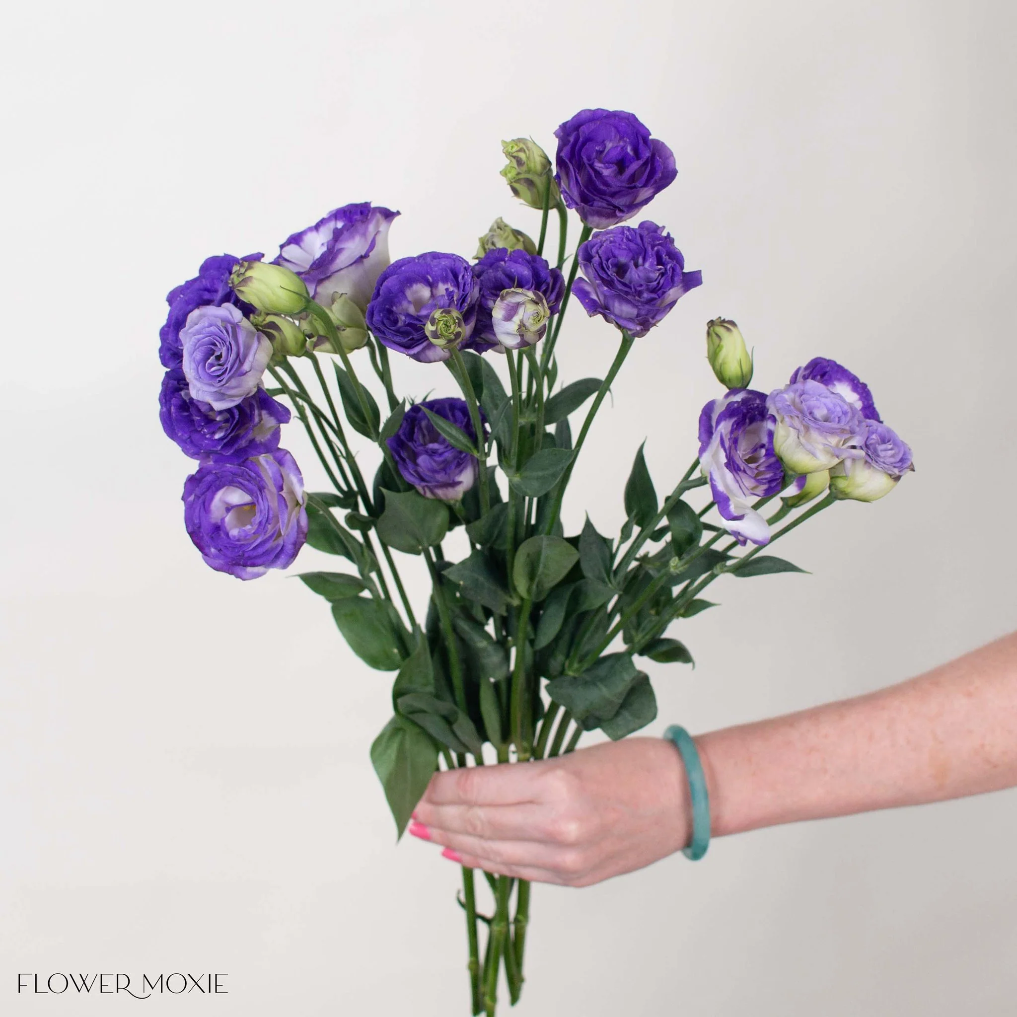 White and Purple Lisianthus Flower - Image 4