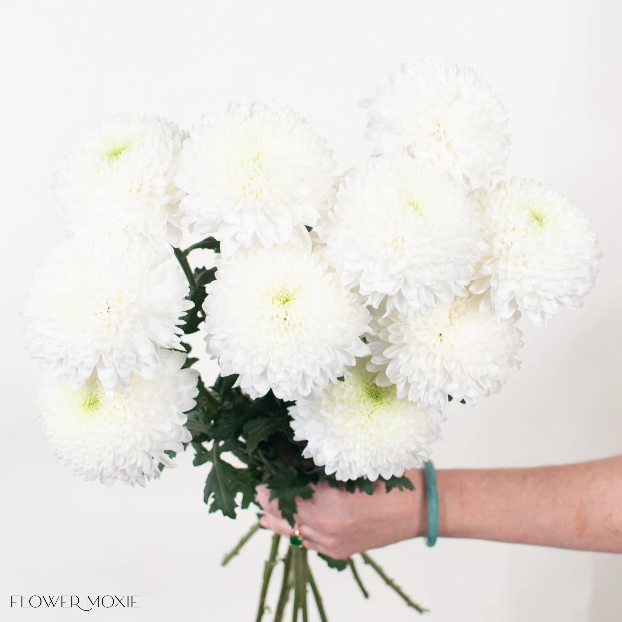 White Ball Cremone Flower - Image 3