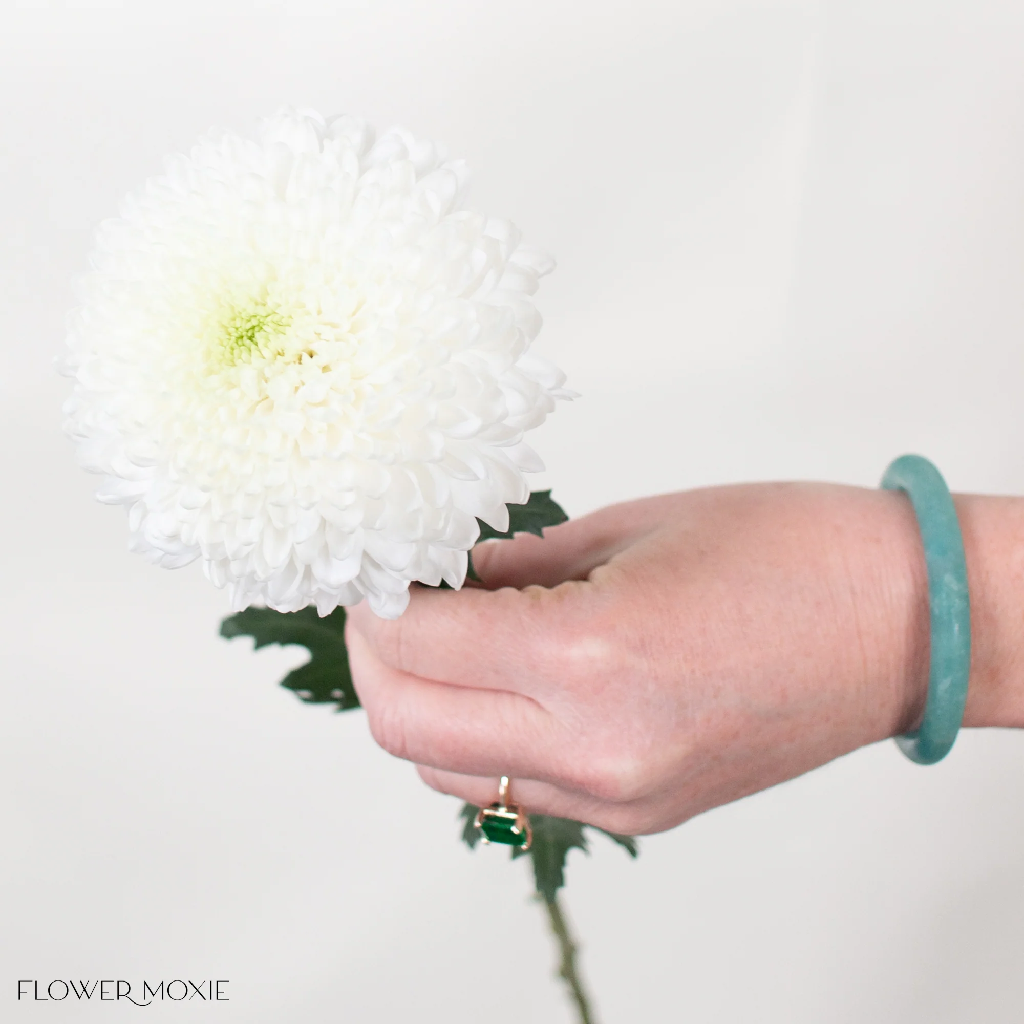 White Ball Cremone Flower - Image 4