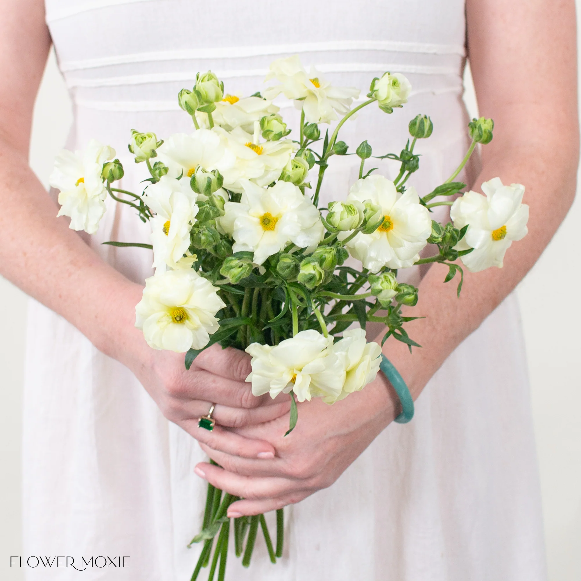 White Butterfly Ranunculus - Image 4