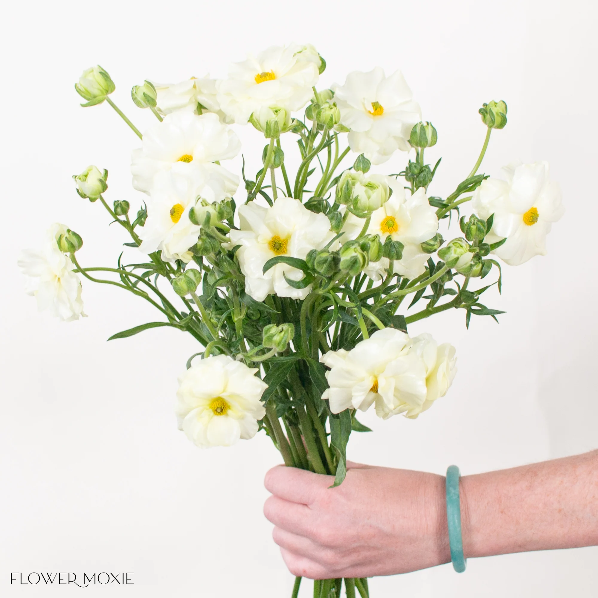 White Butterfly Ranunculus - Image 5