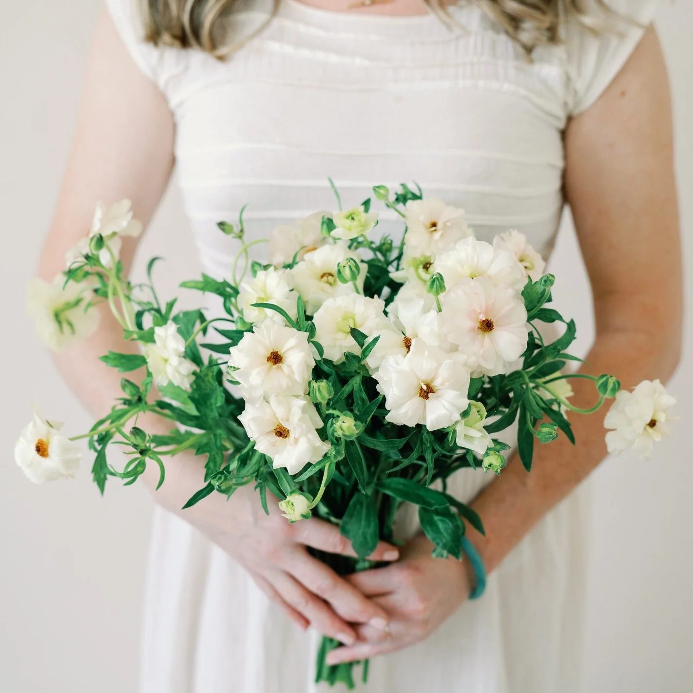 White Butterfly Ranunculus - Image 7