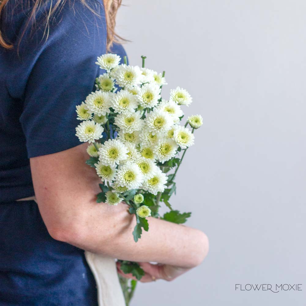 White Button Pom Flower - Image 4