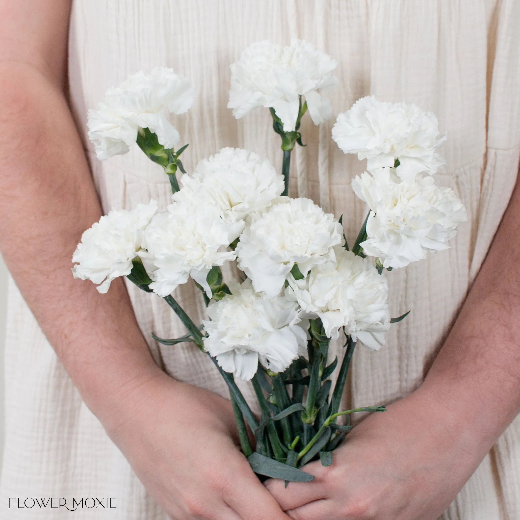 White Carnation Flower - Image 10