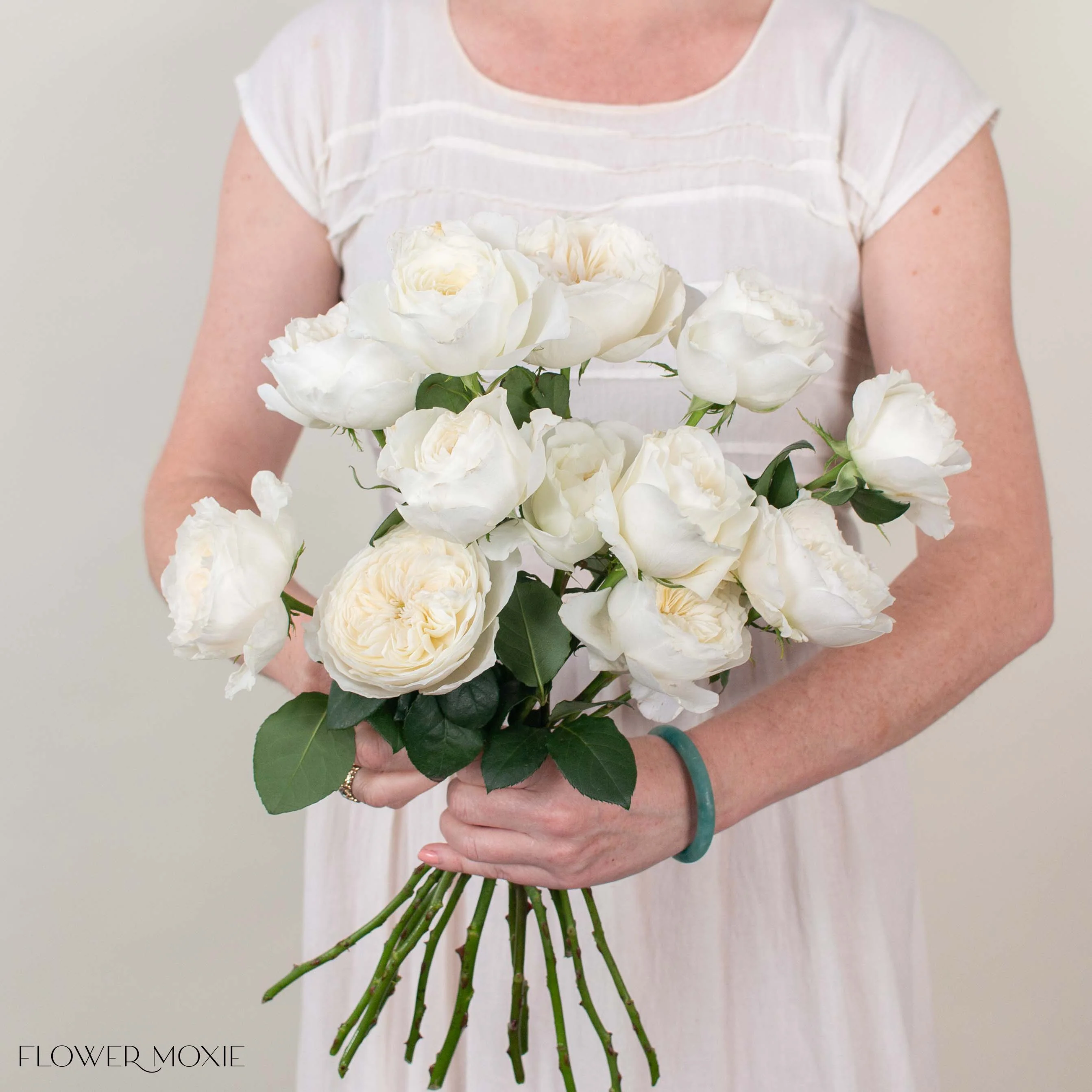 White Cloud Garden Rose