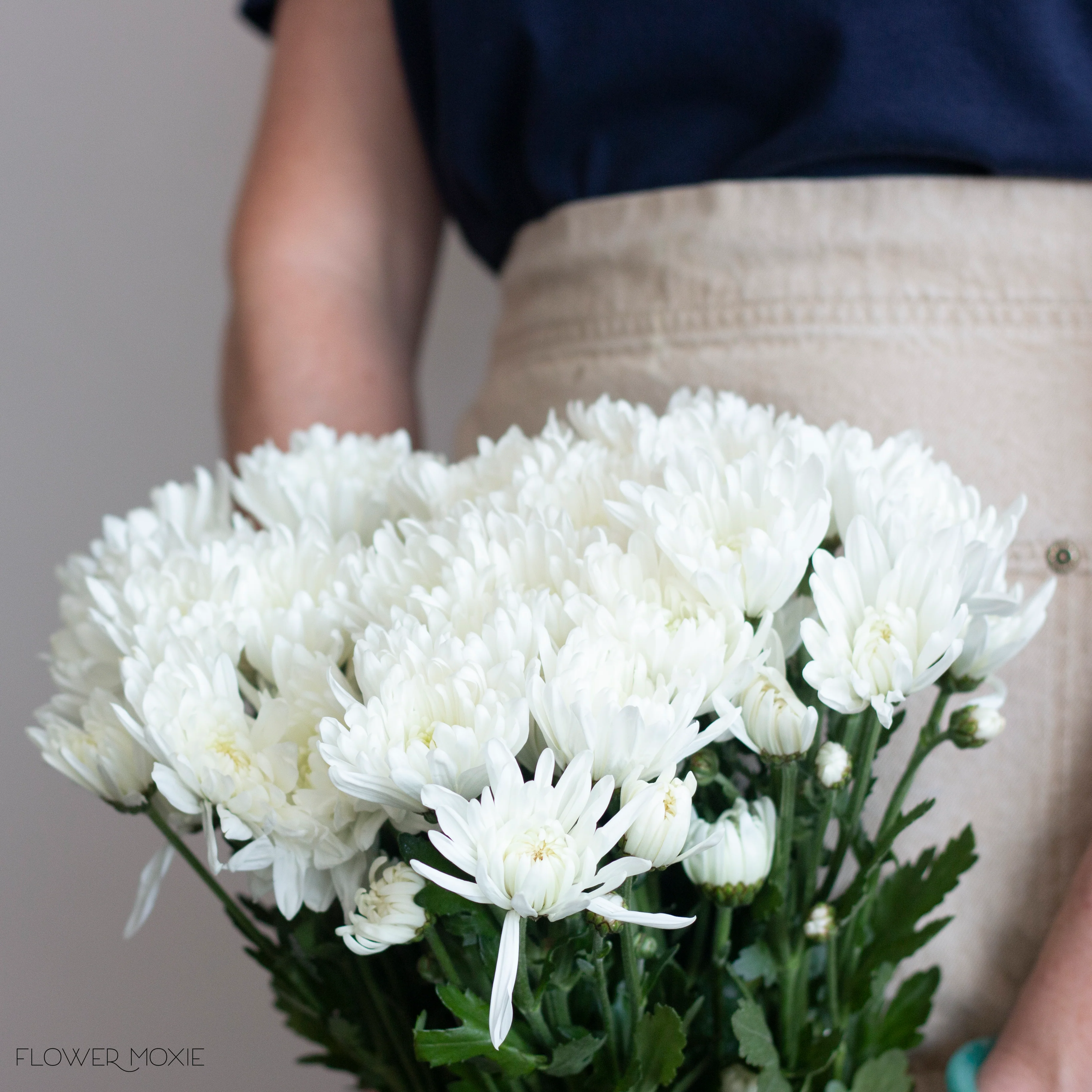 White Cushion Pom Flower - Image 3