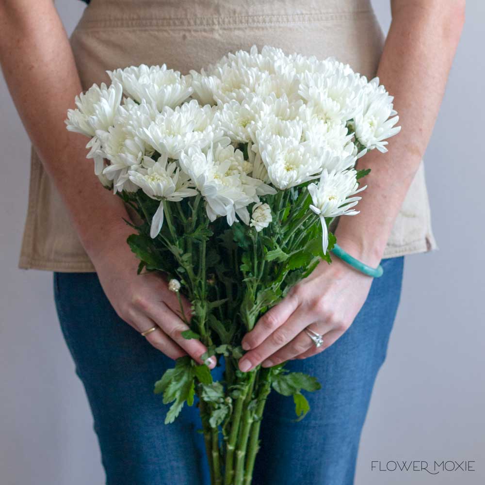 White Cushion Pom Flower - Image 4