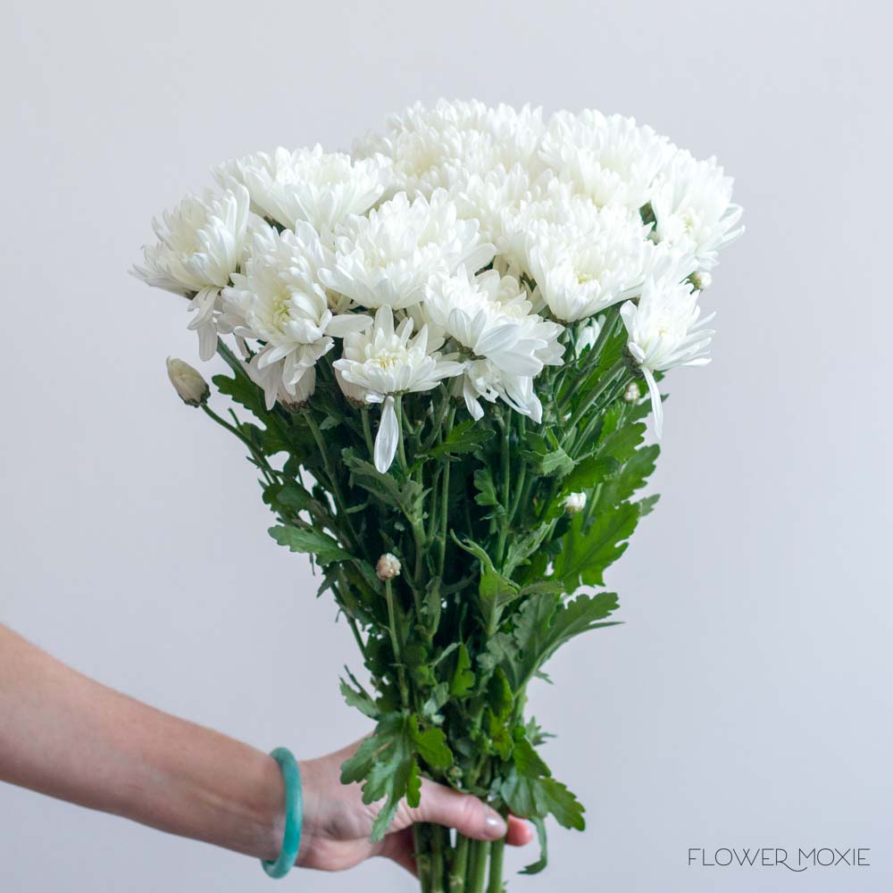 White Cushion Pom Flower - Image 5