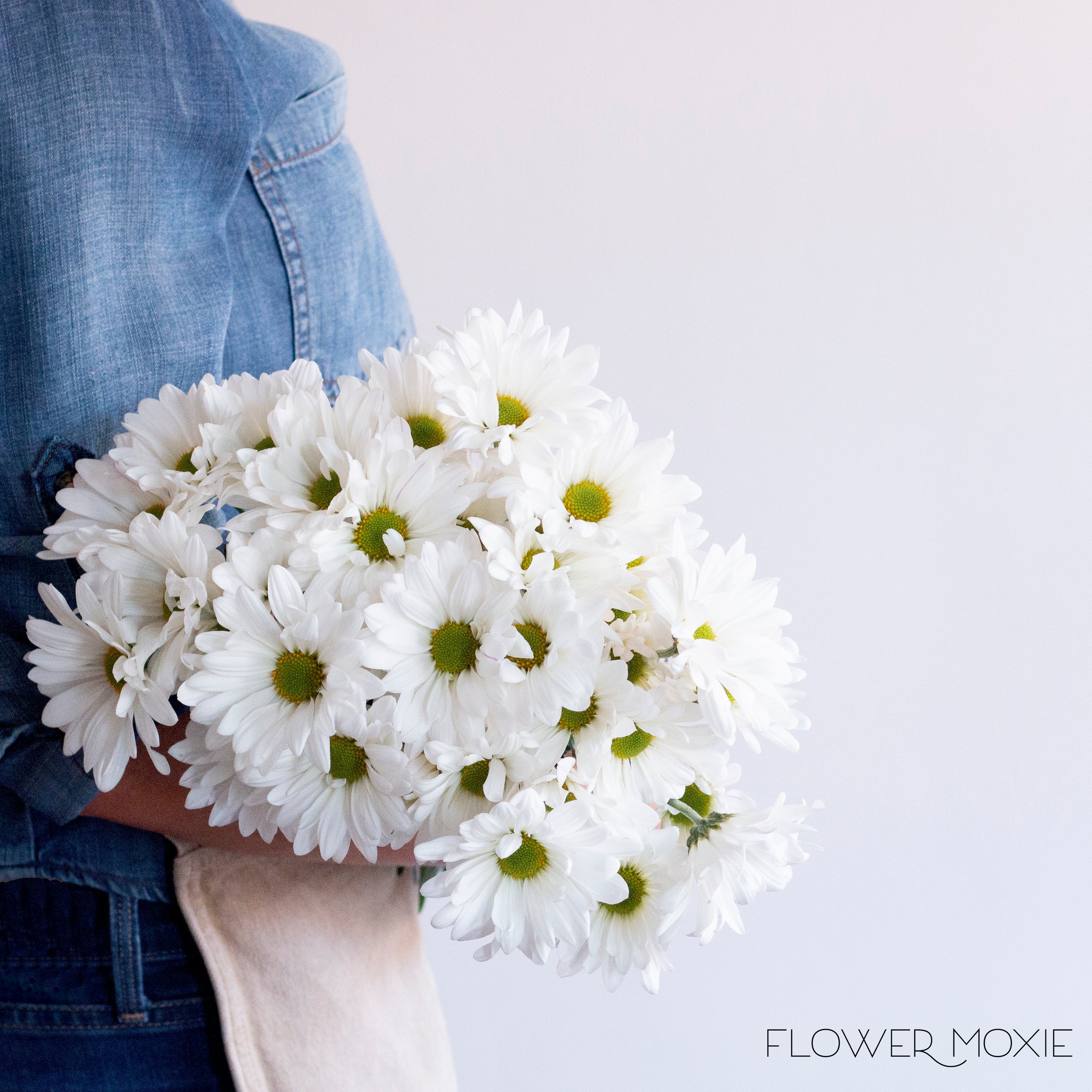 White Daisy Pom Flower - Image 3