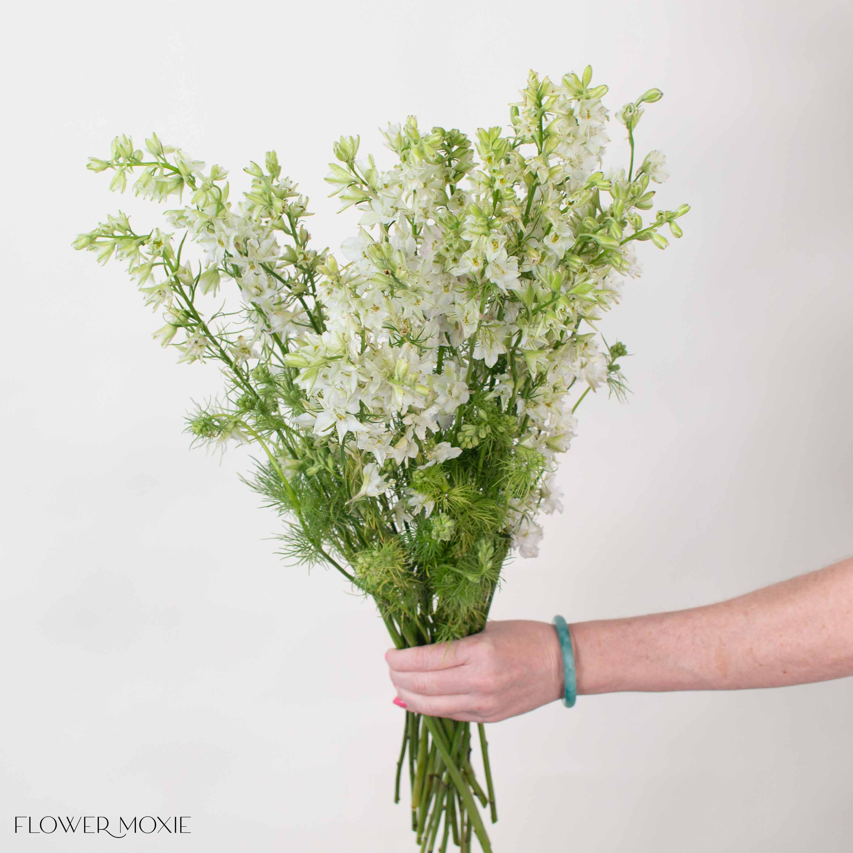 White Larkspur Flower - Image 4