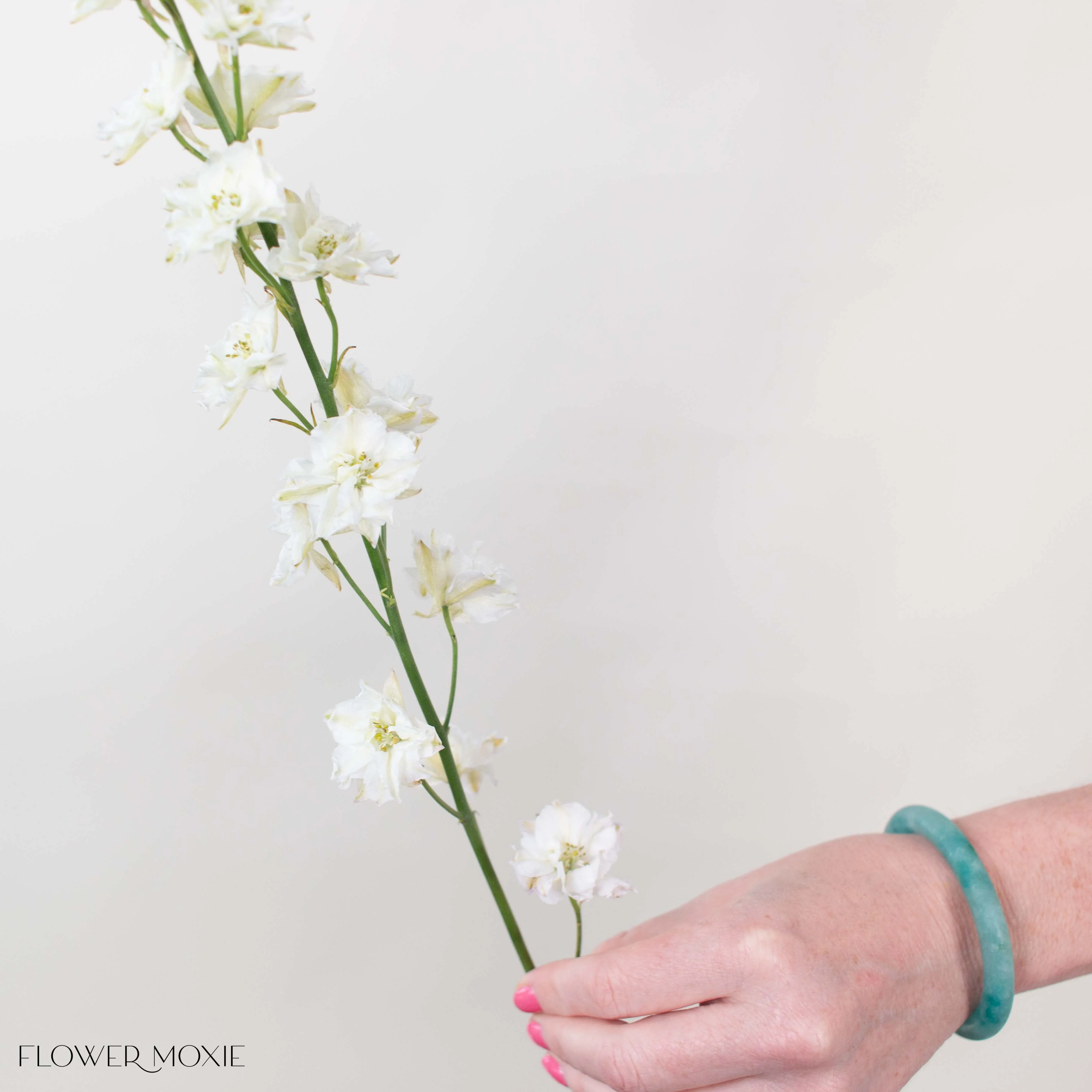 White Larkspur Flower - Image 5