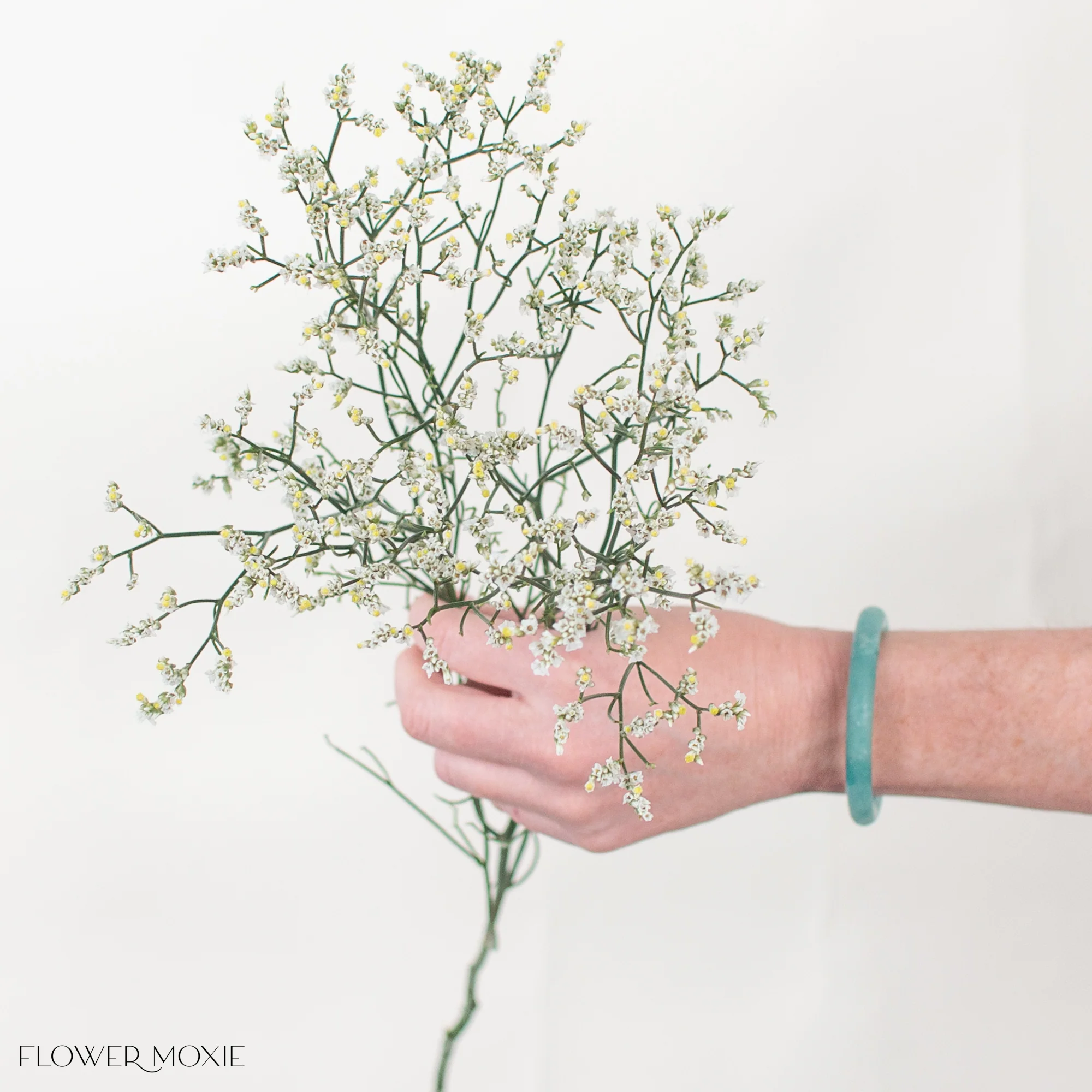 White Limonium Flower - Image 4