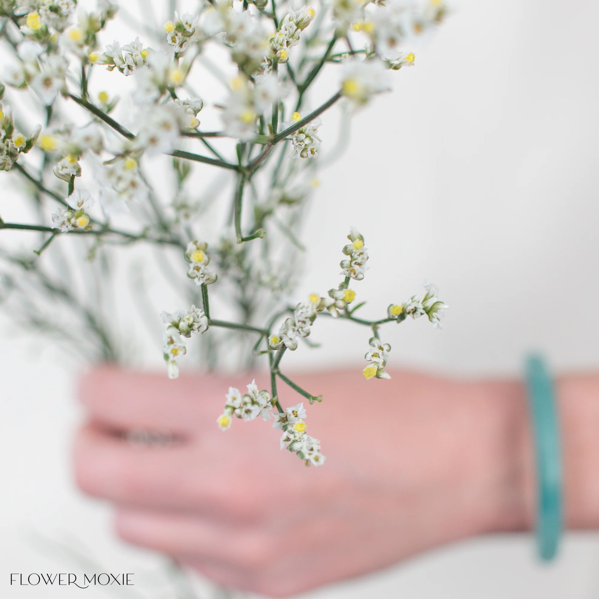 White Limonium Flower - Image 5