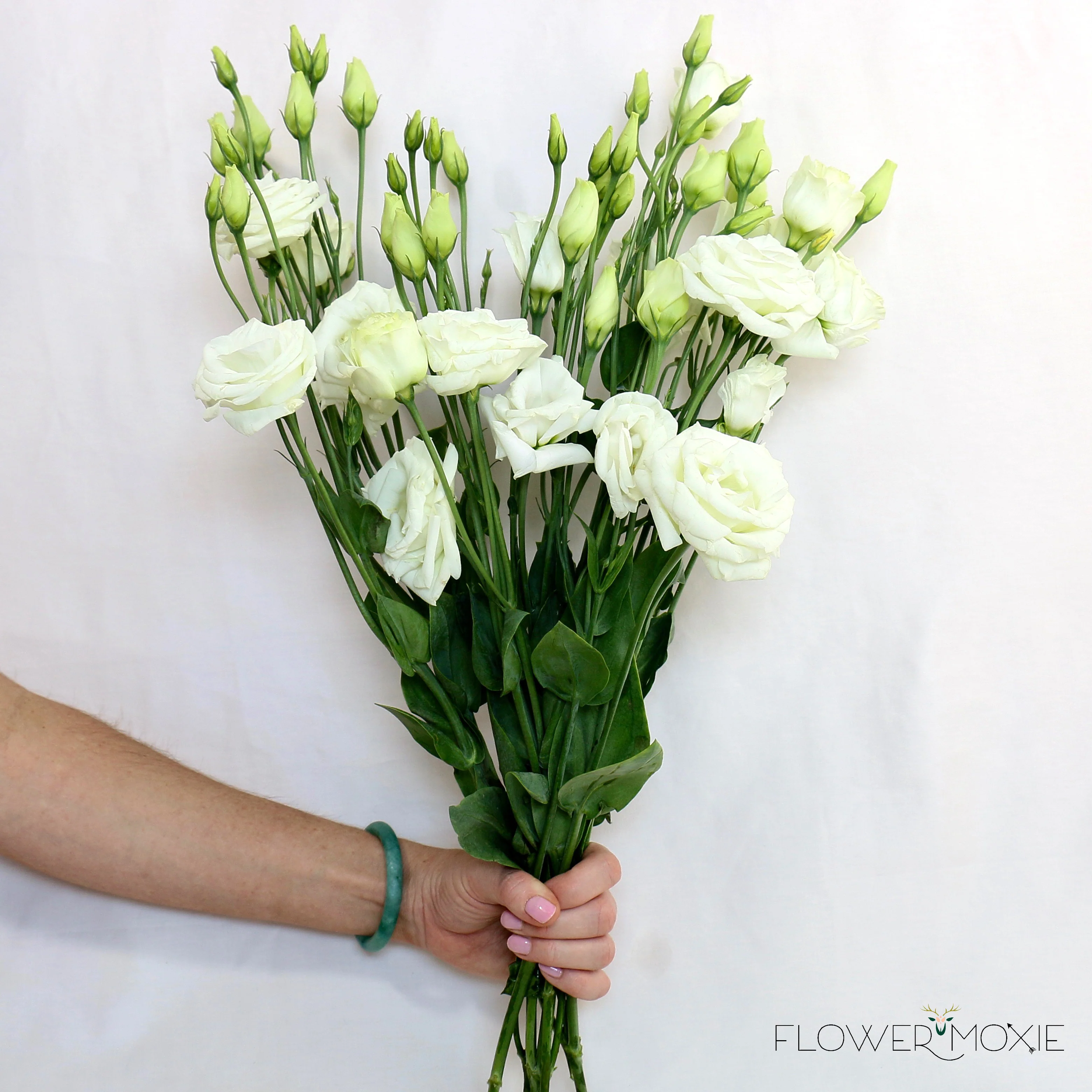 White Lisianthus Flower - Image 5