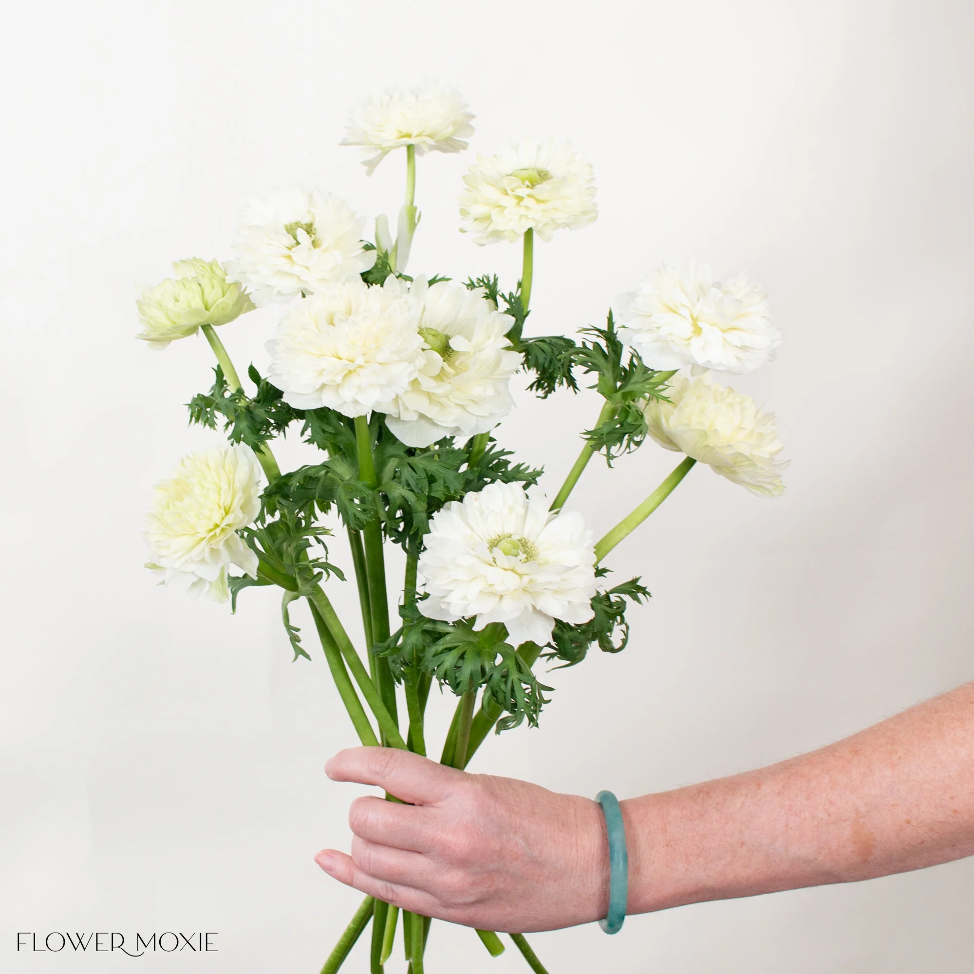 White Lotus Anemone Flower - Image 3