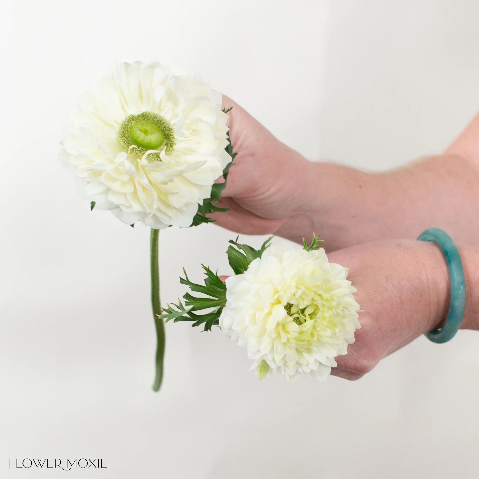 White Lotus Anemone Flower - Image 4