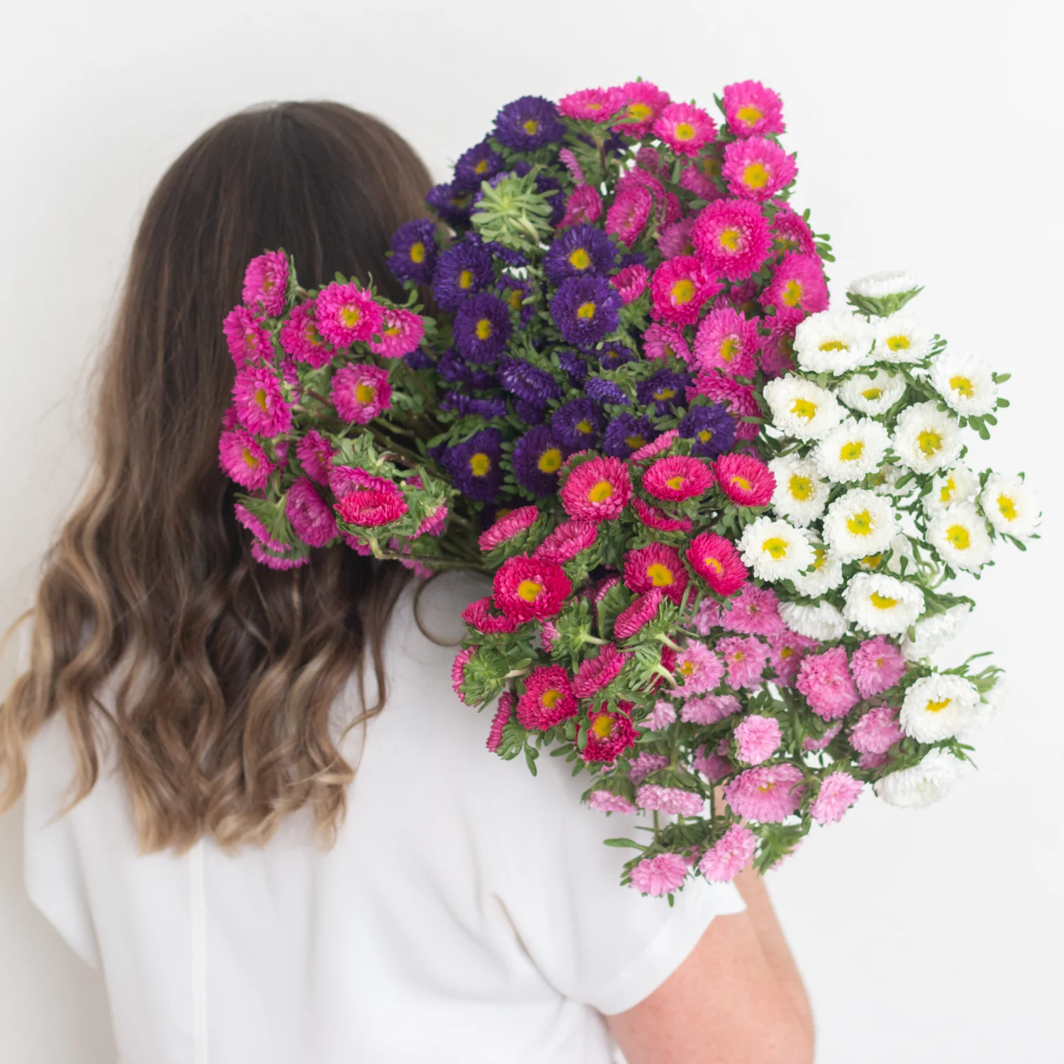 White Matsumoto Aster Flowers - Image 4