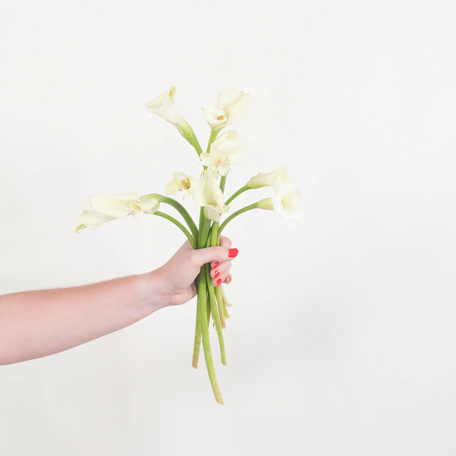 White Mini Calla Lily Flower - Image 5