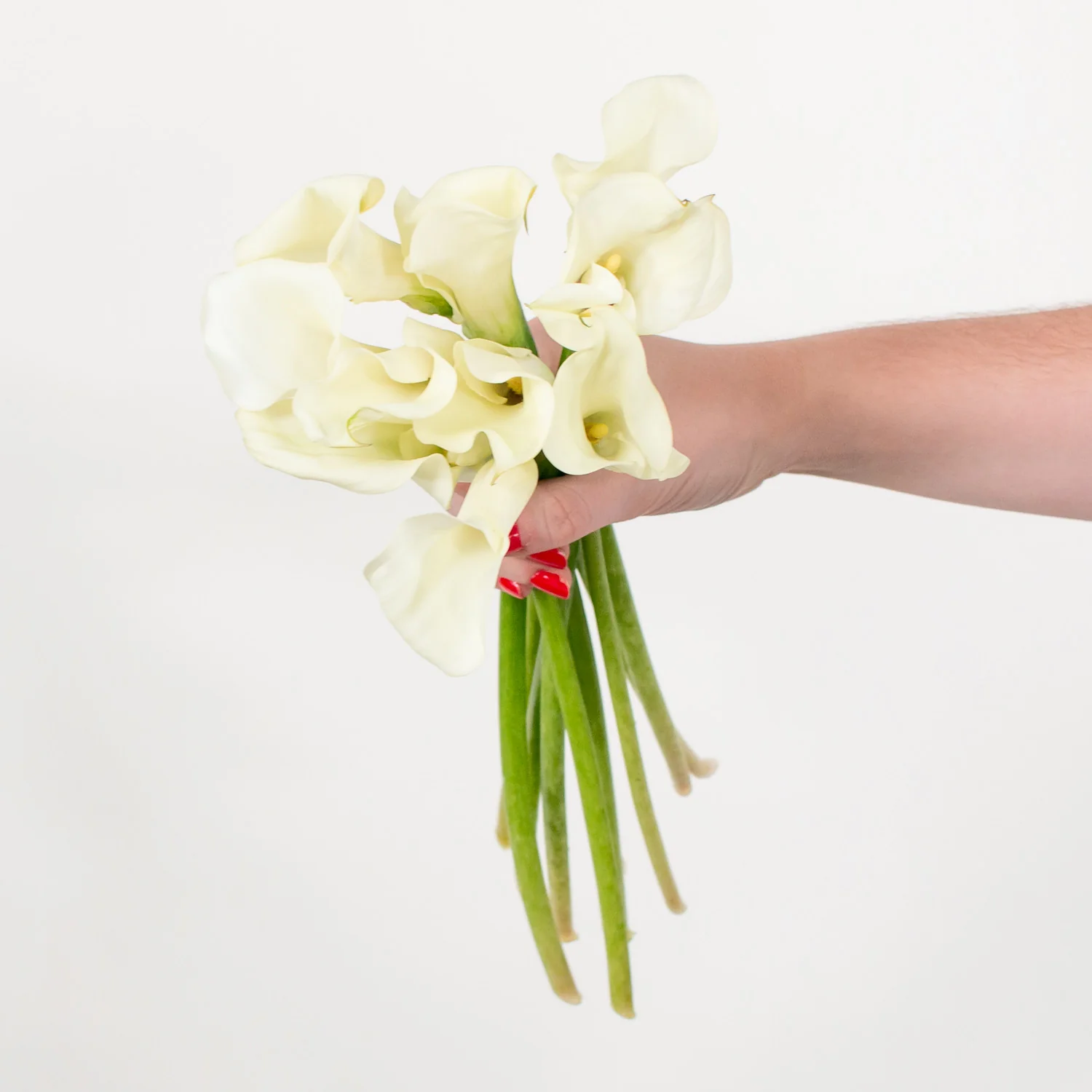White Mini Calla Lily Flower - Image 6