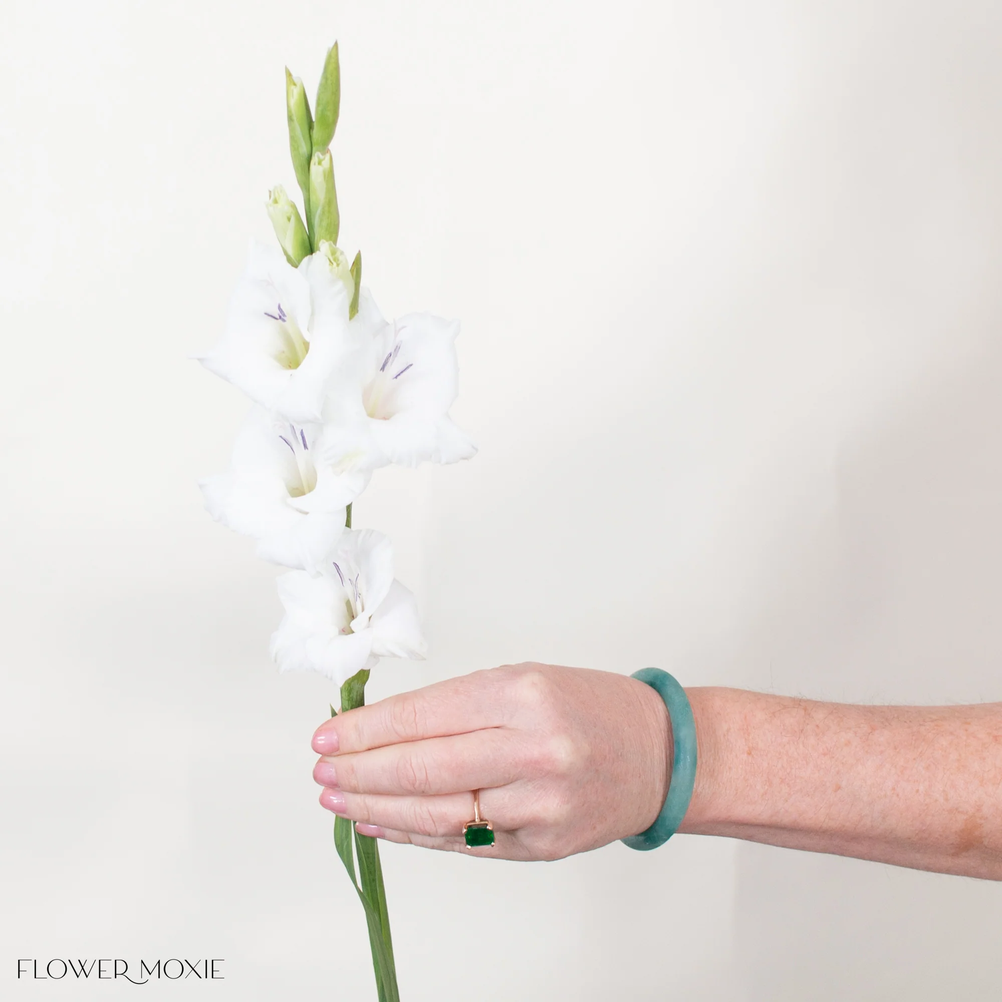White Mini Gladiolus Flower - Image 4