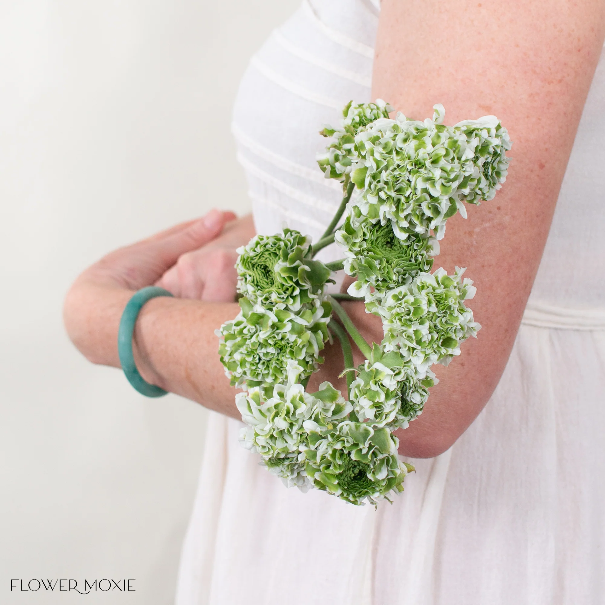 White Curly Ranunculus Flower - Image 3