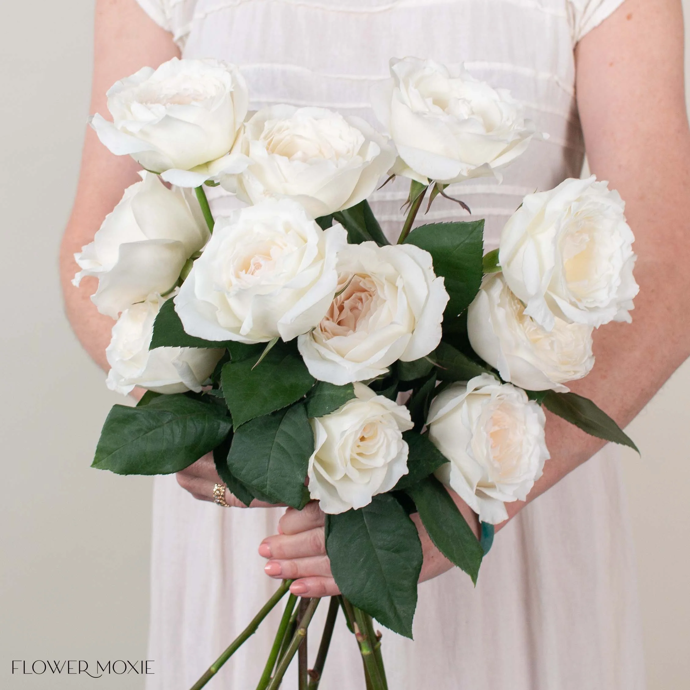 White Princess Miyuki Garden Rose