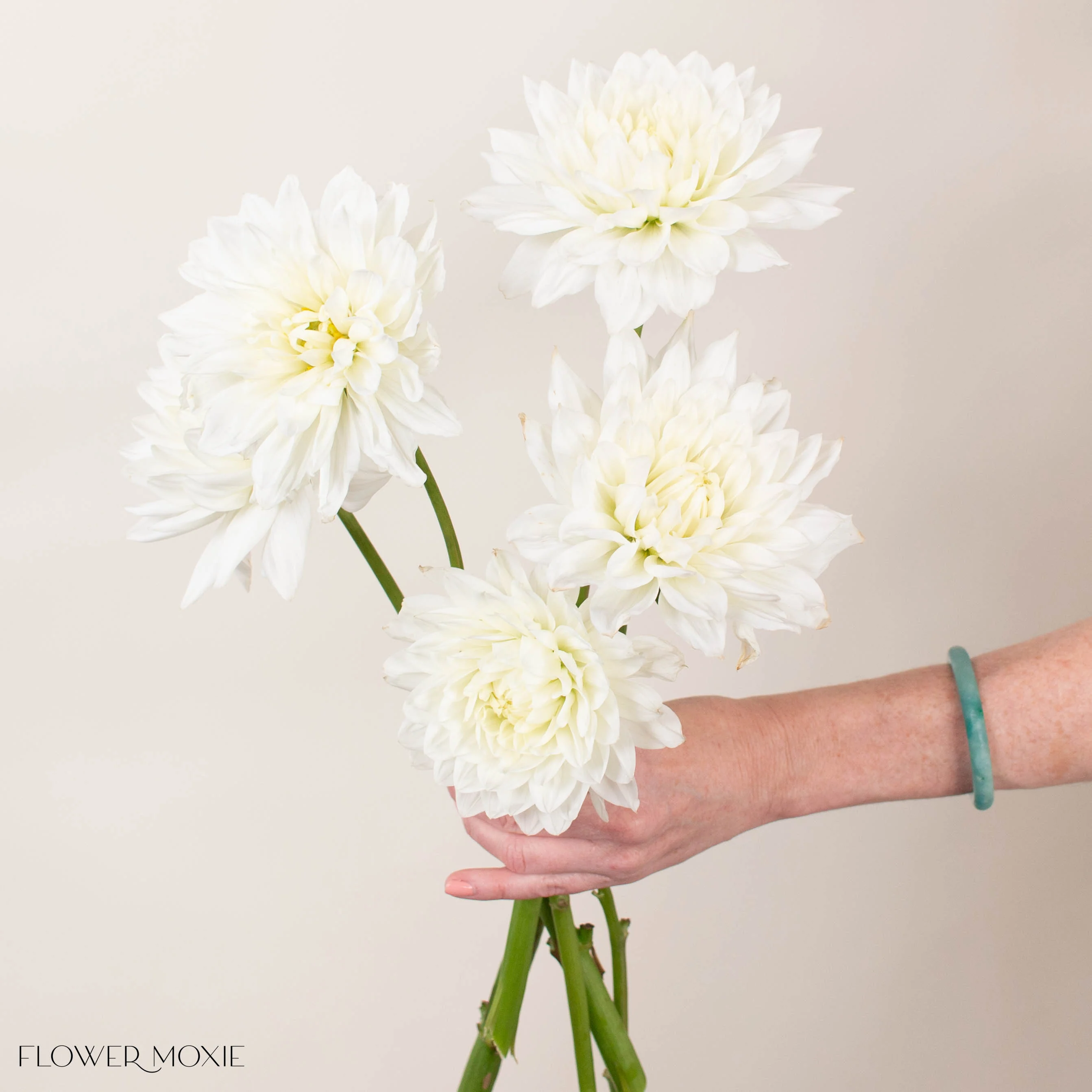 White Quartz Dahlia Flower - Image 4