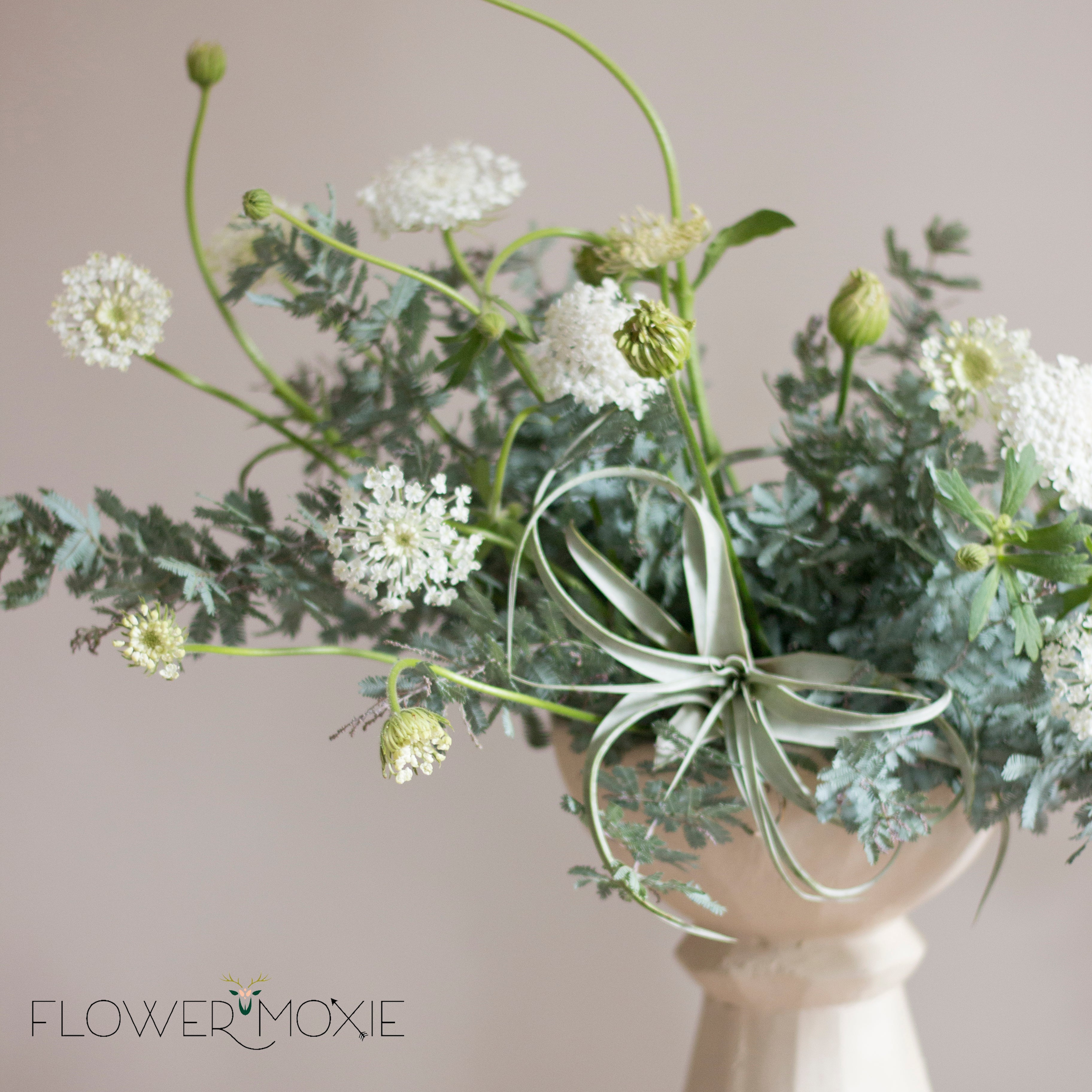 White Queen Anne's Lace Flower - Image 4