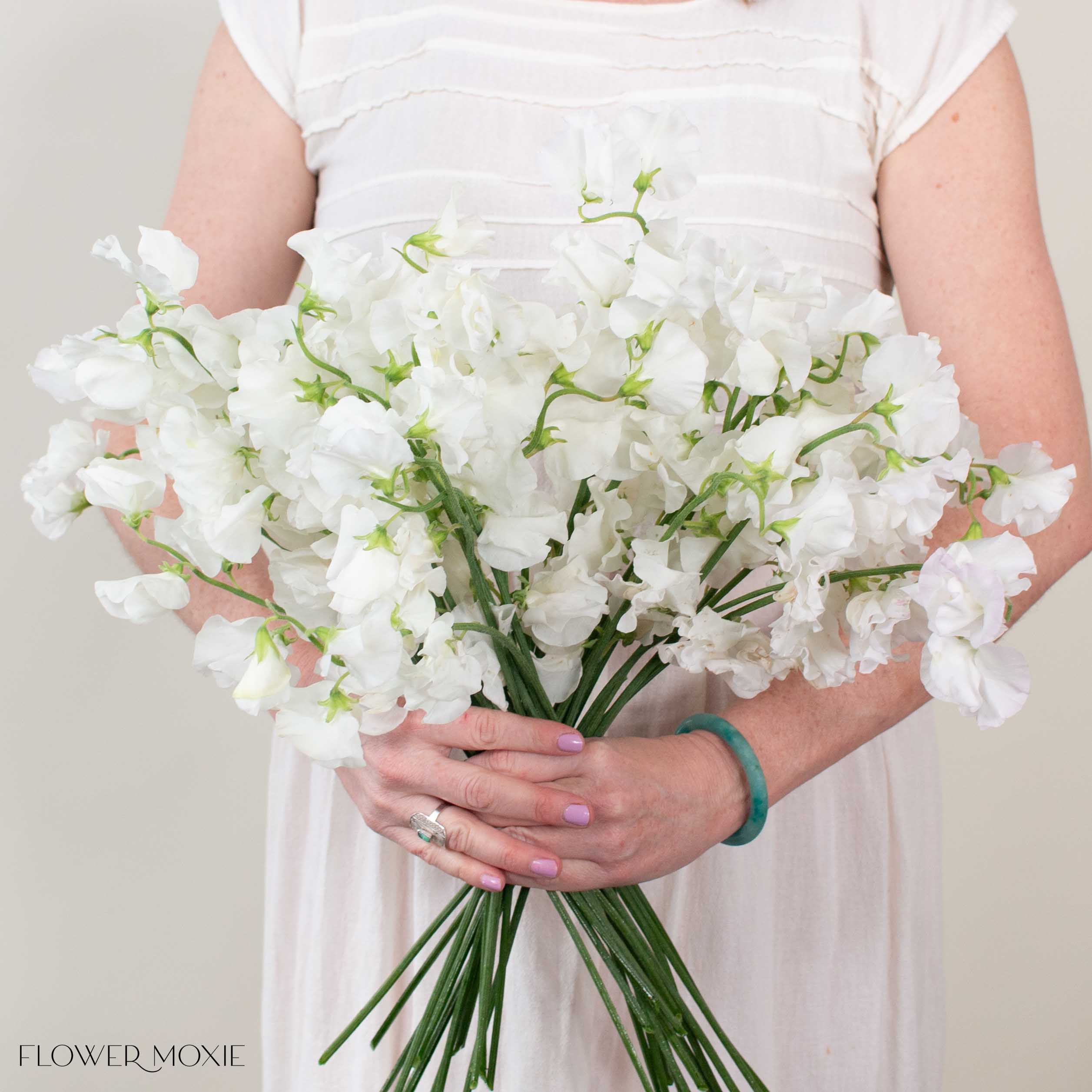 White Sweet Pea - Image 3