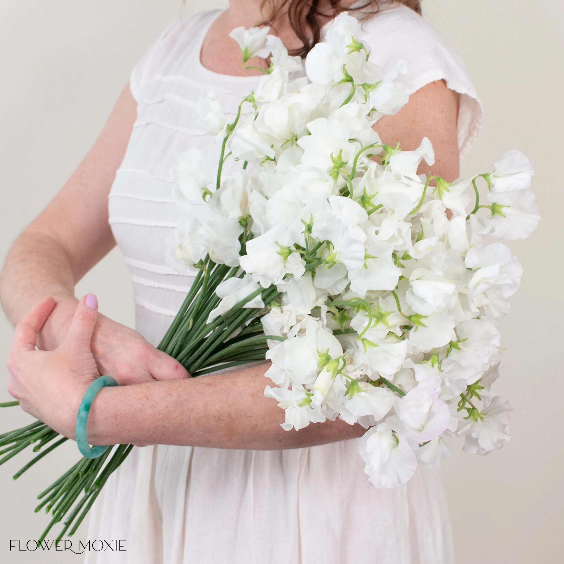 White Sweet Pea - Image 5