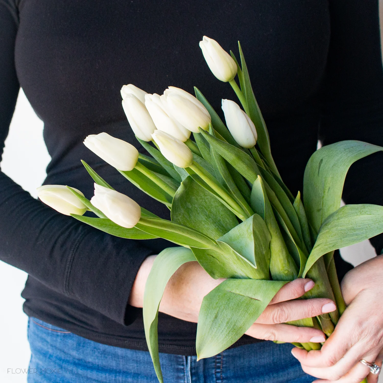 White Tulip Flower