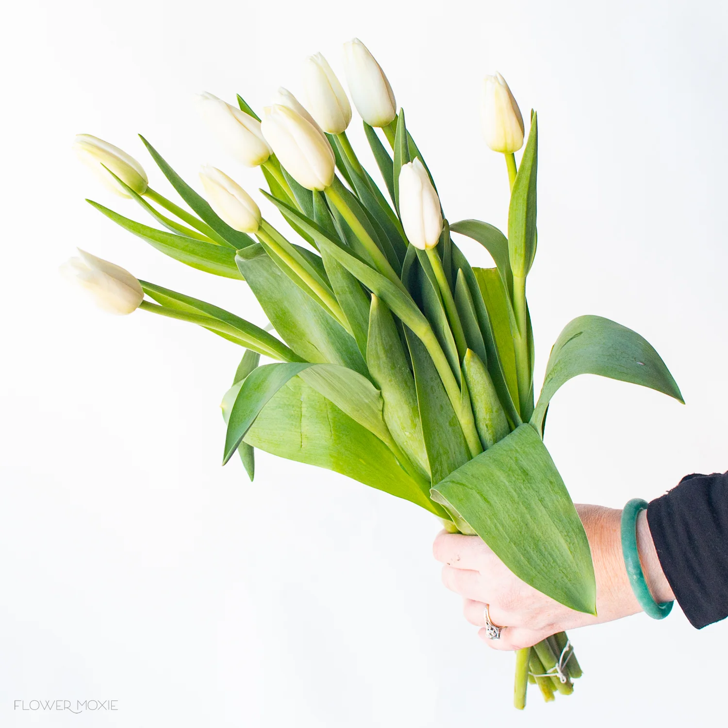 White Tulip Flower - Image 2