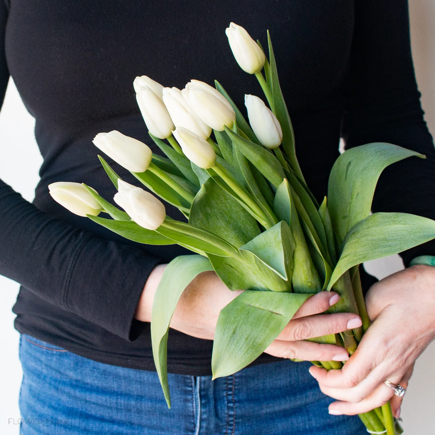 White Tulip Flower - Image 5