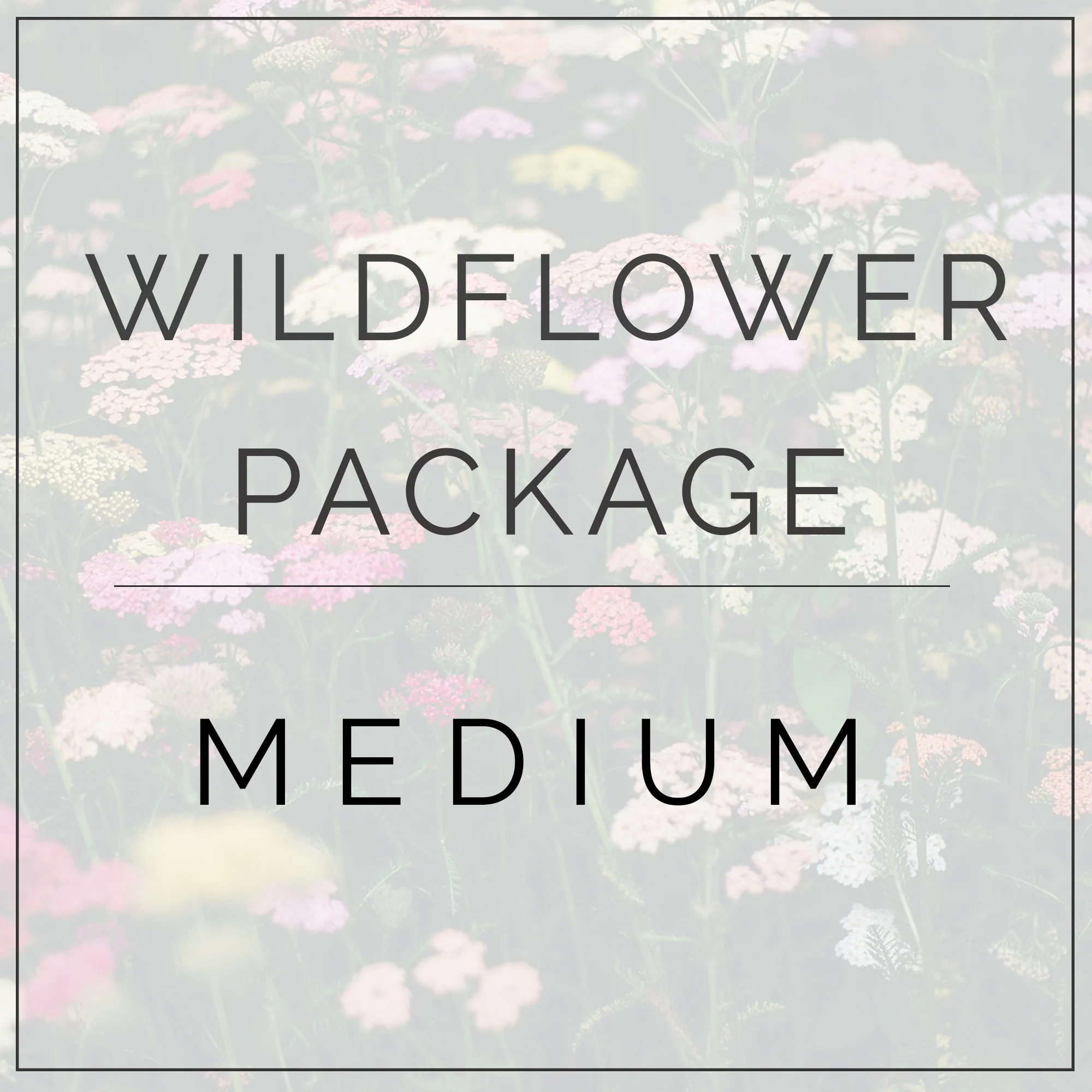 Wildflower Full DIY - Medium Package