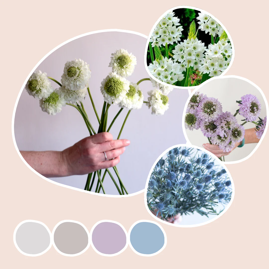 Wildflower Mixed Box – Textured Grace
