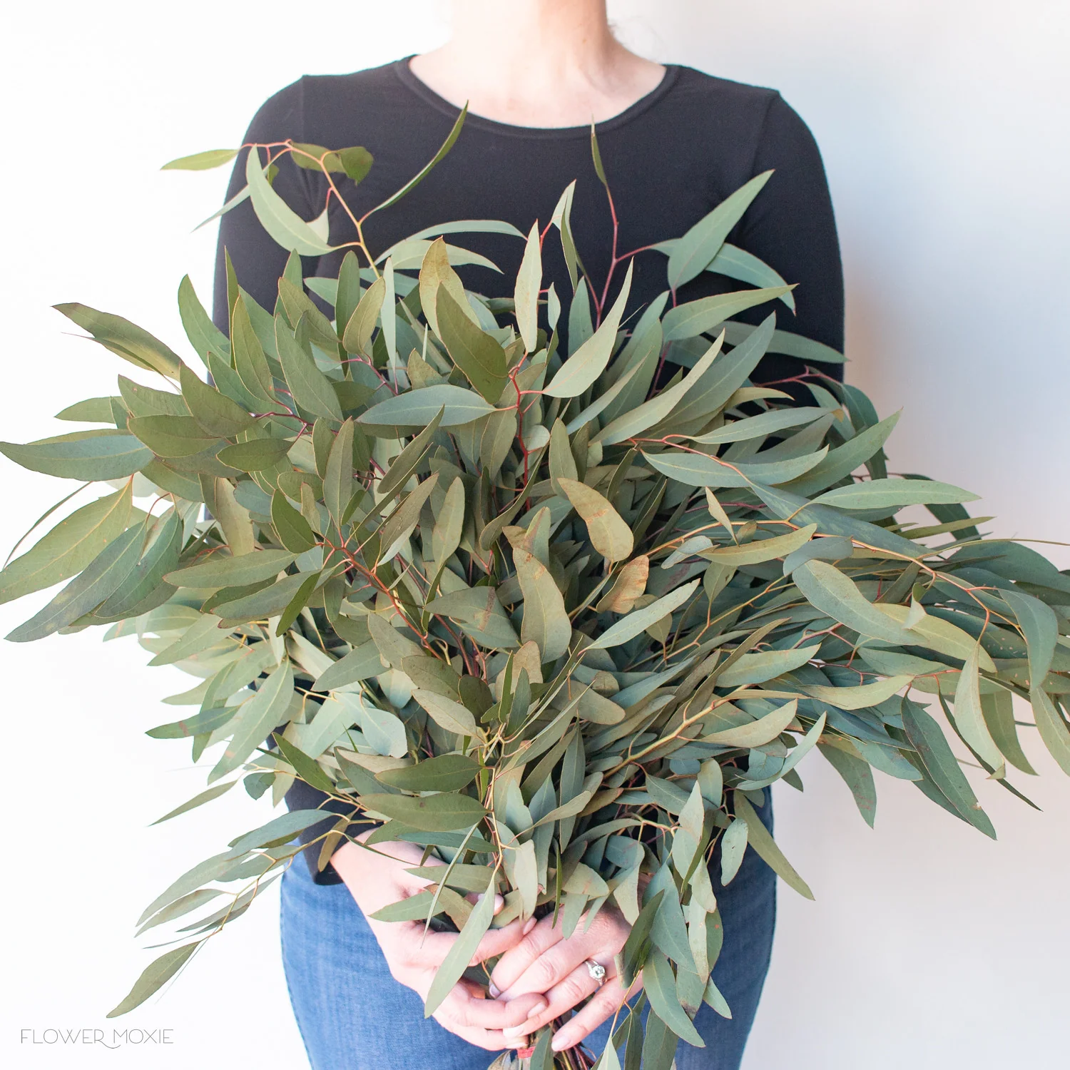 Willow Eucalyptus Greenery - Image 2