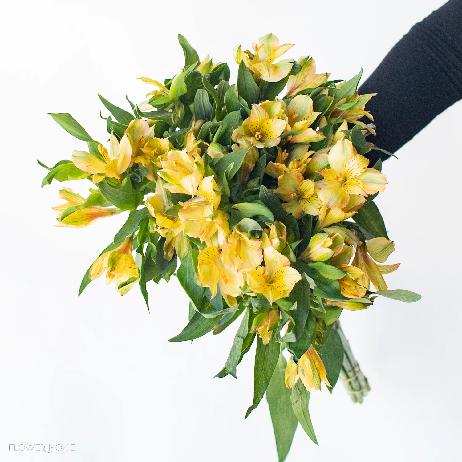 Yellow Alstroemeria Flower - Image 5