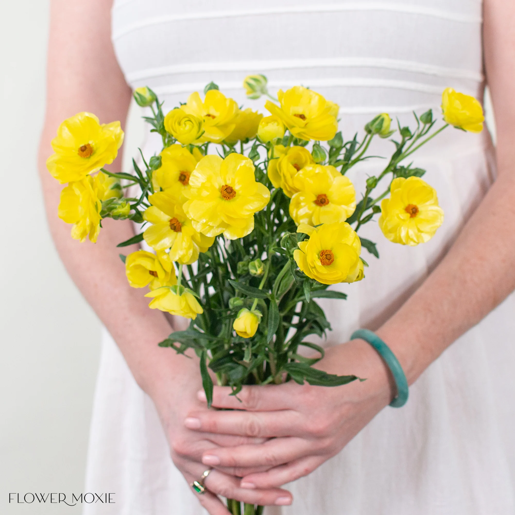 Yellow Butterfly Ranunculus - Image 5