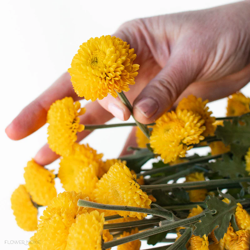Yellow Button Pom Flowers - Image 5