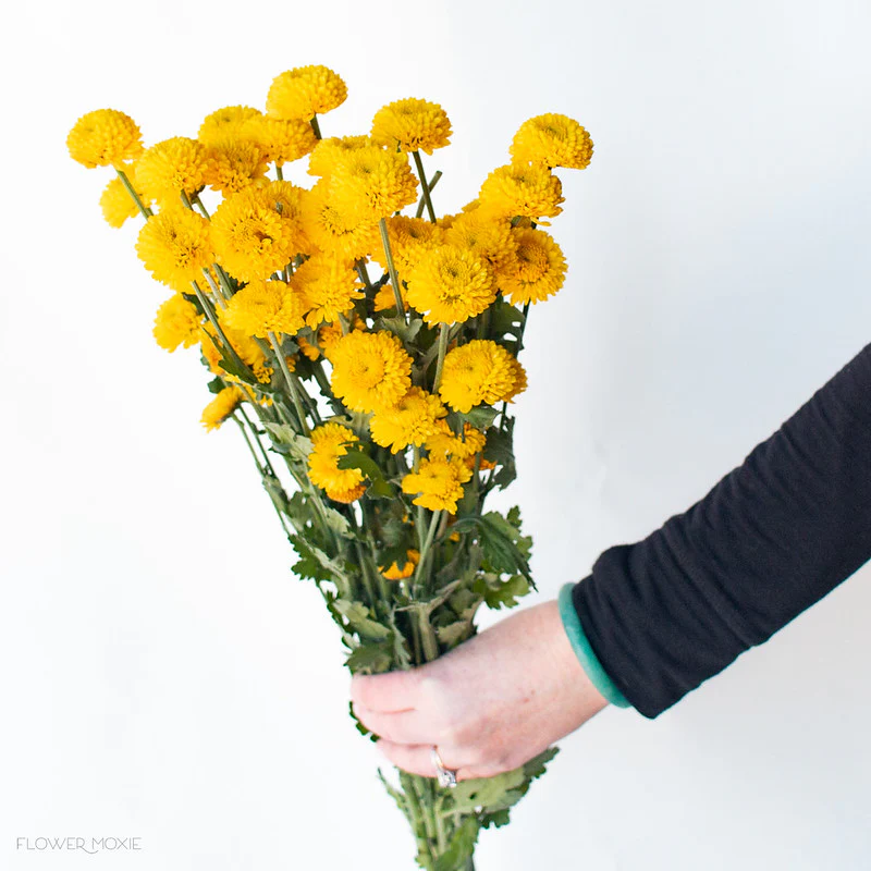 Yellow Button Pom Flowers - Image 6