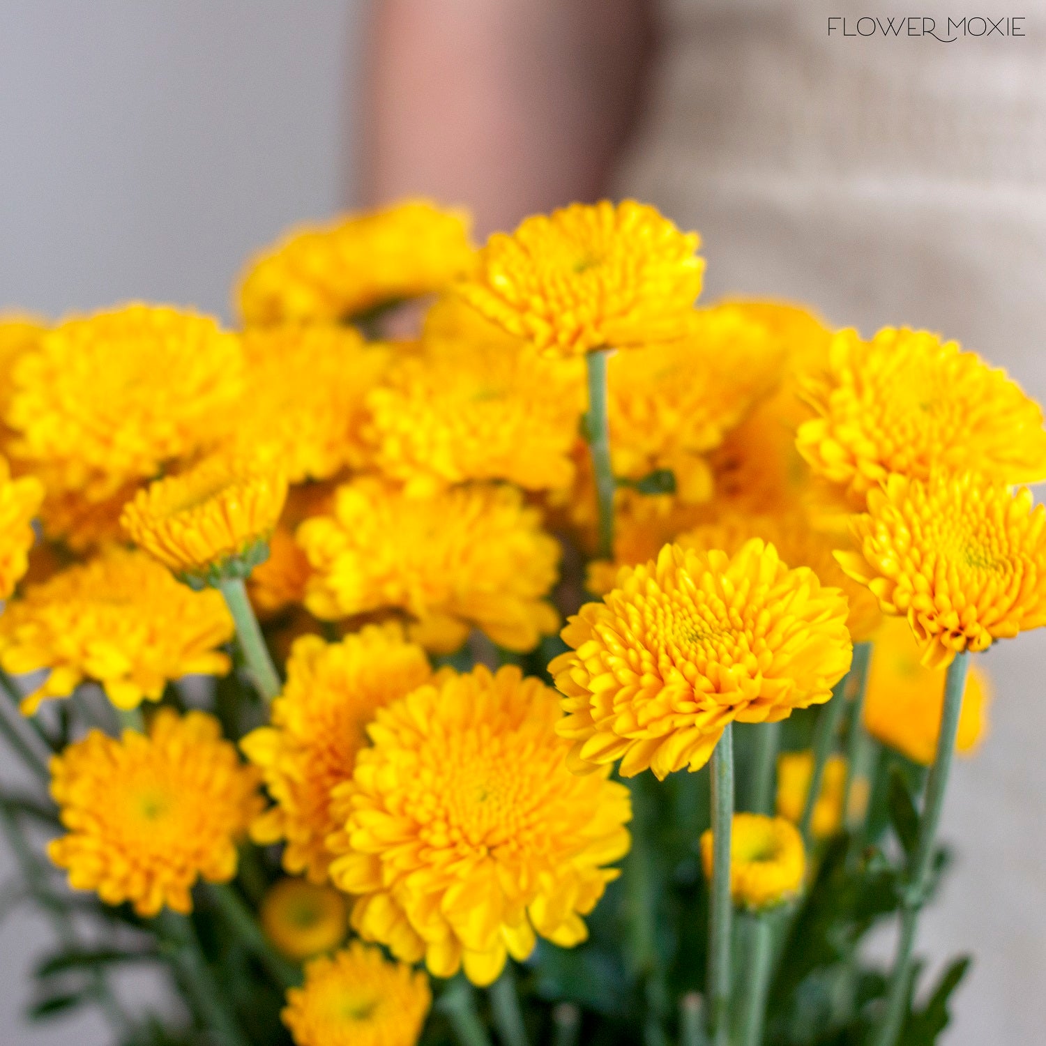 Yellow Button Pom Flowers - Image 7