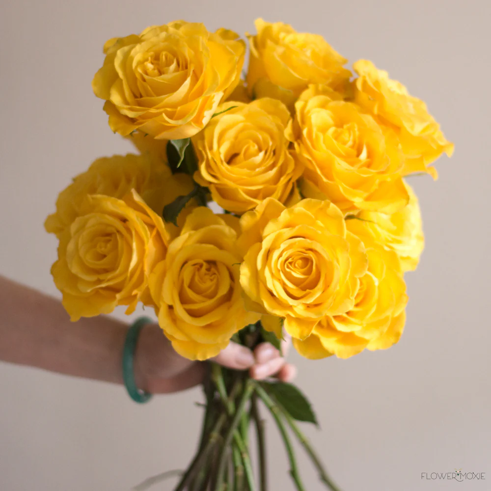 Yellow Rose - Image 5